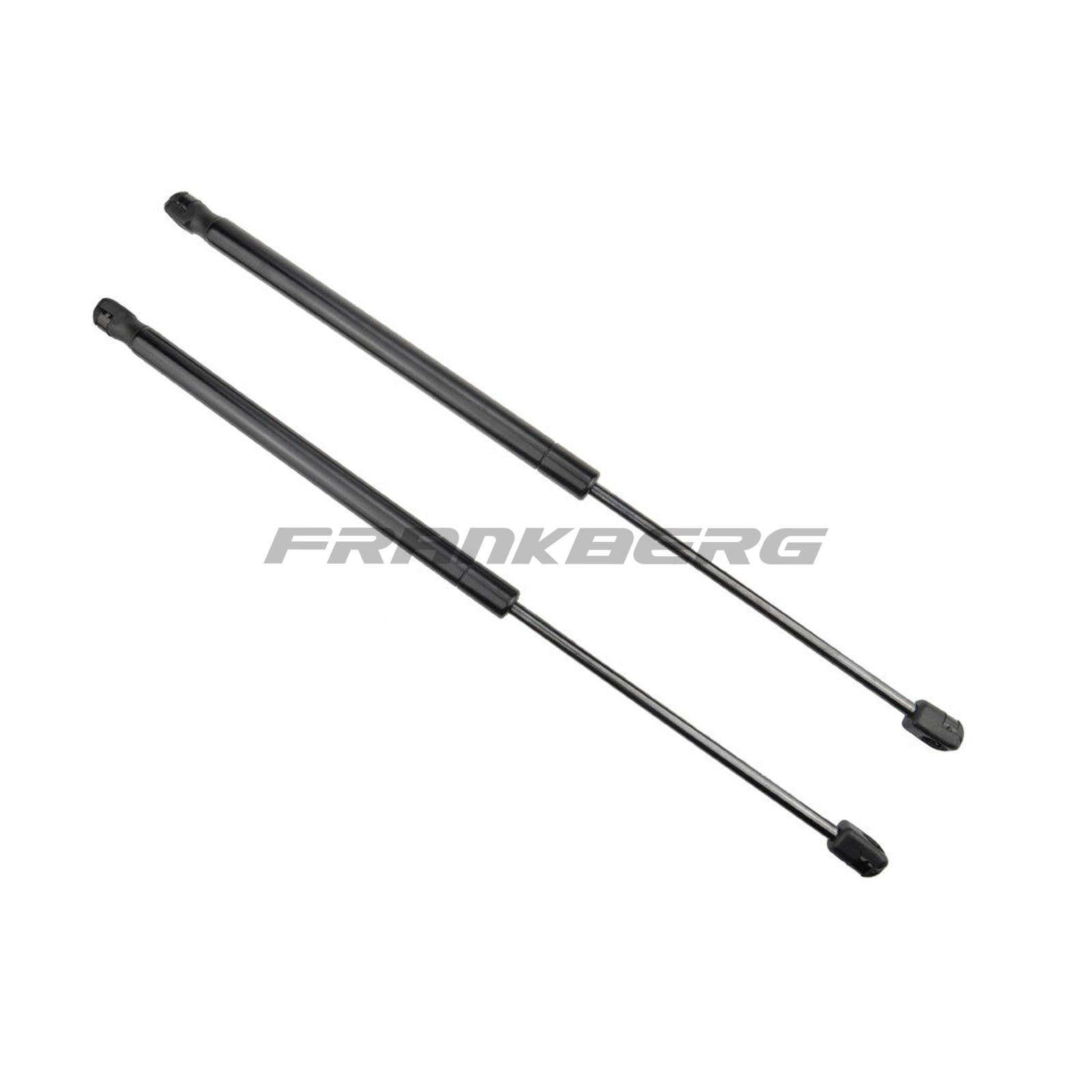 Gas Spring, boot/cargo area
