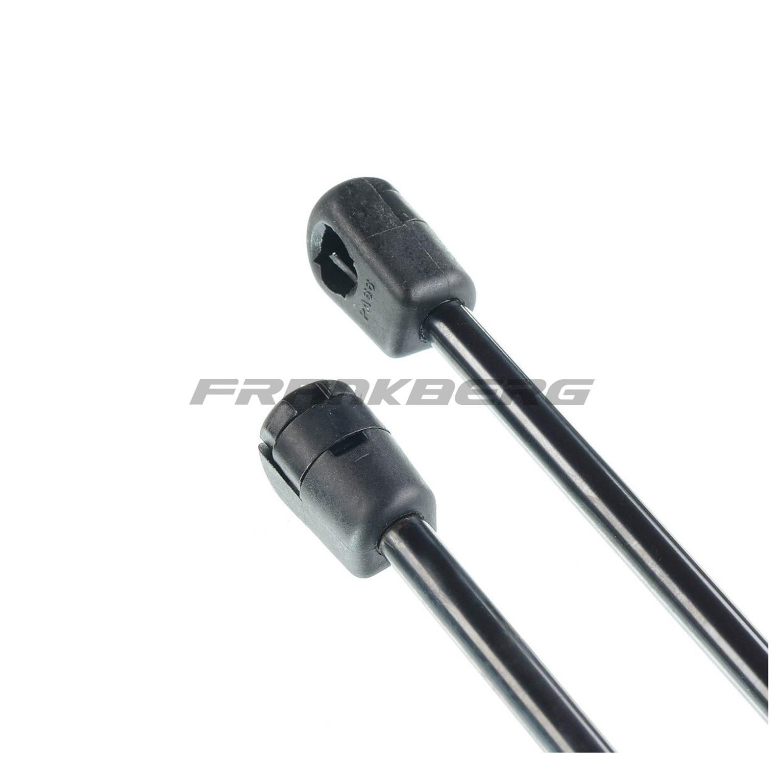 Gas Spring, boot/cargo area