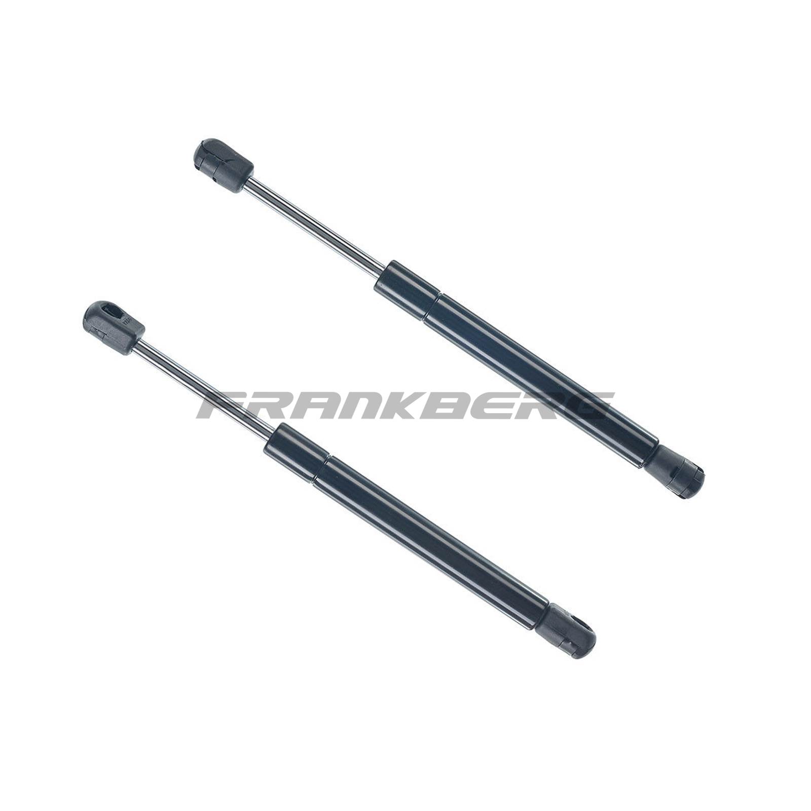Gas Spring, boot/cargo area