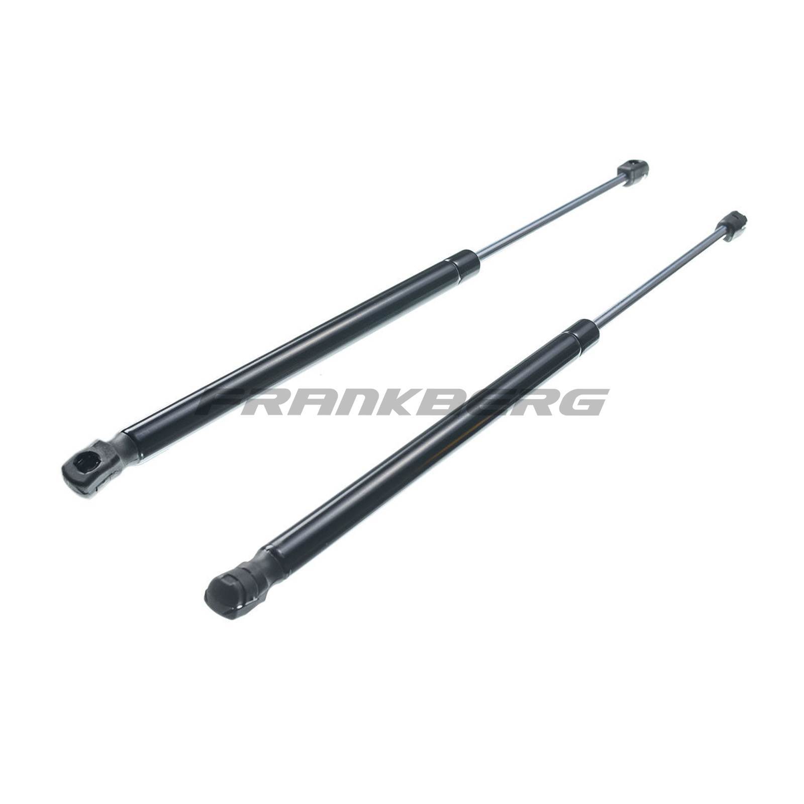Gas Spring, boot/cargo area