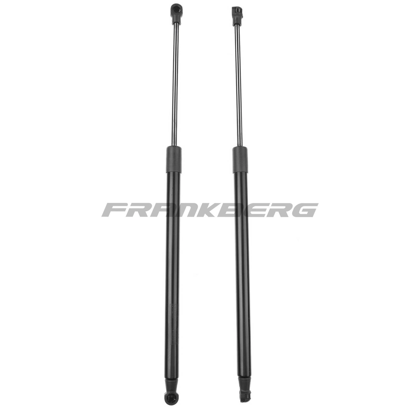 Gas Spring, boot/cargo area