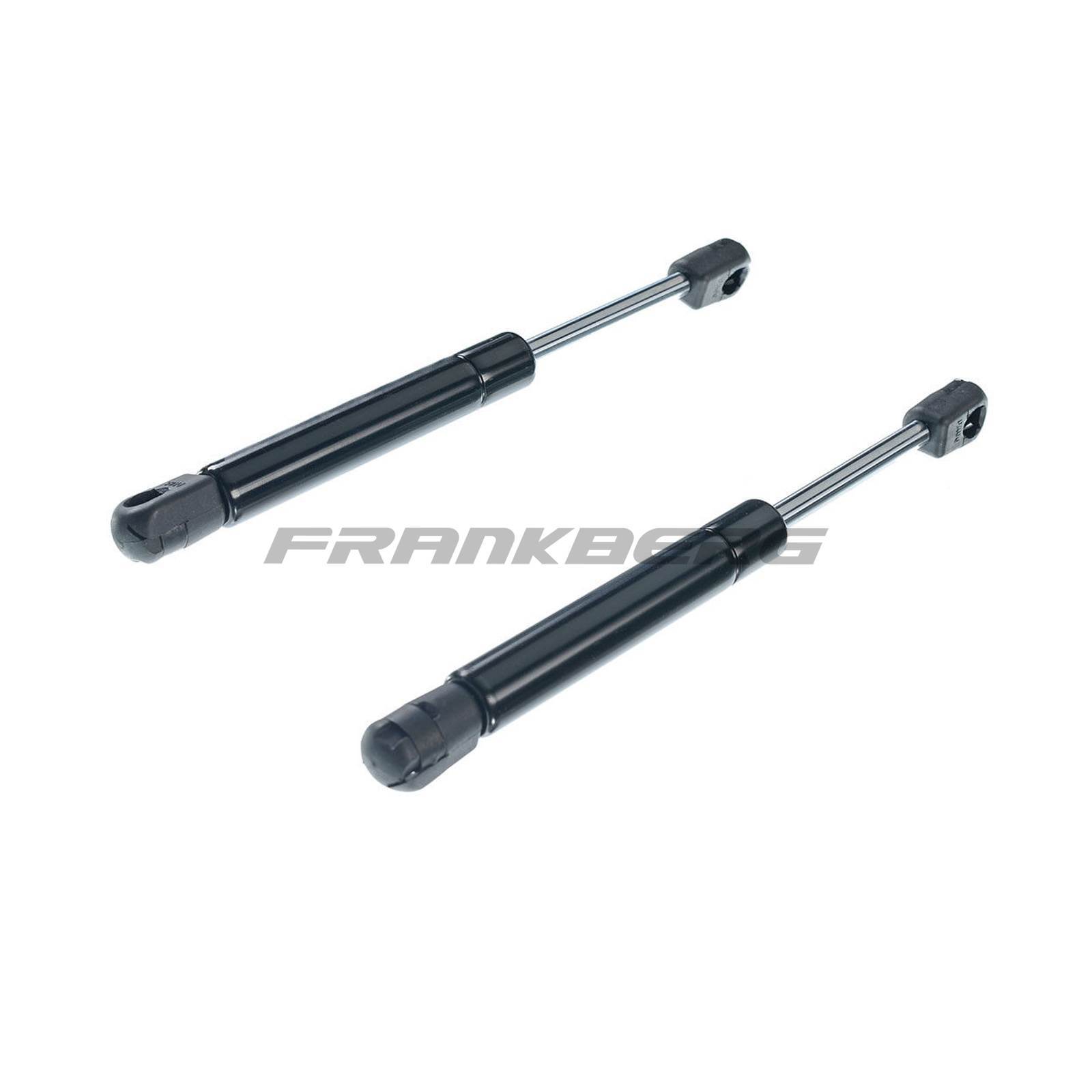 Gas Spring, boot/cargo area