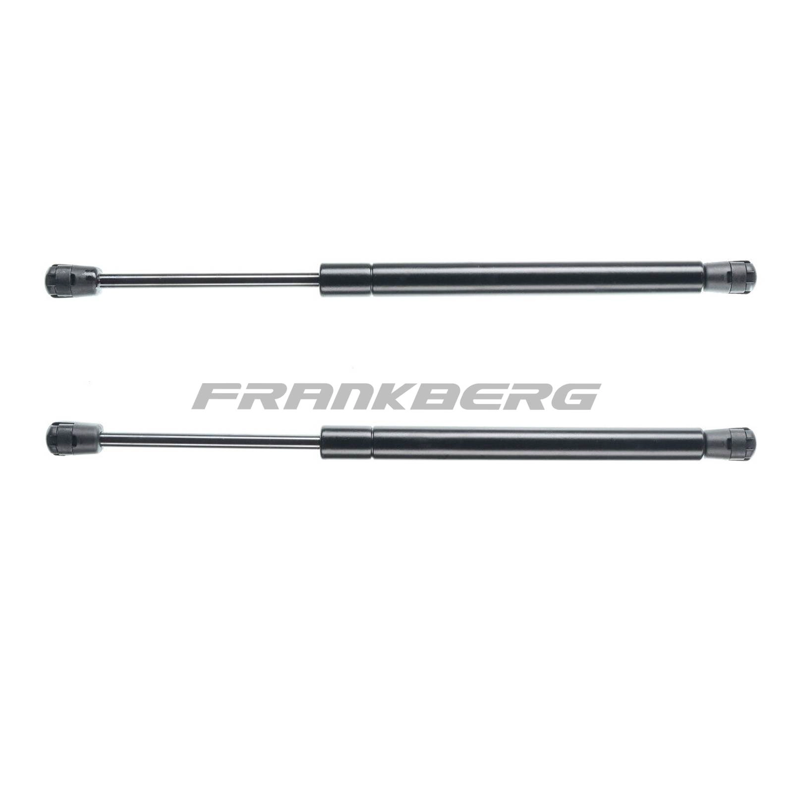 Gas Spring, boot/cargo area