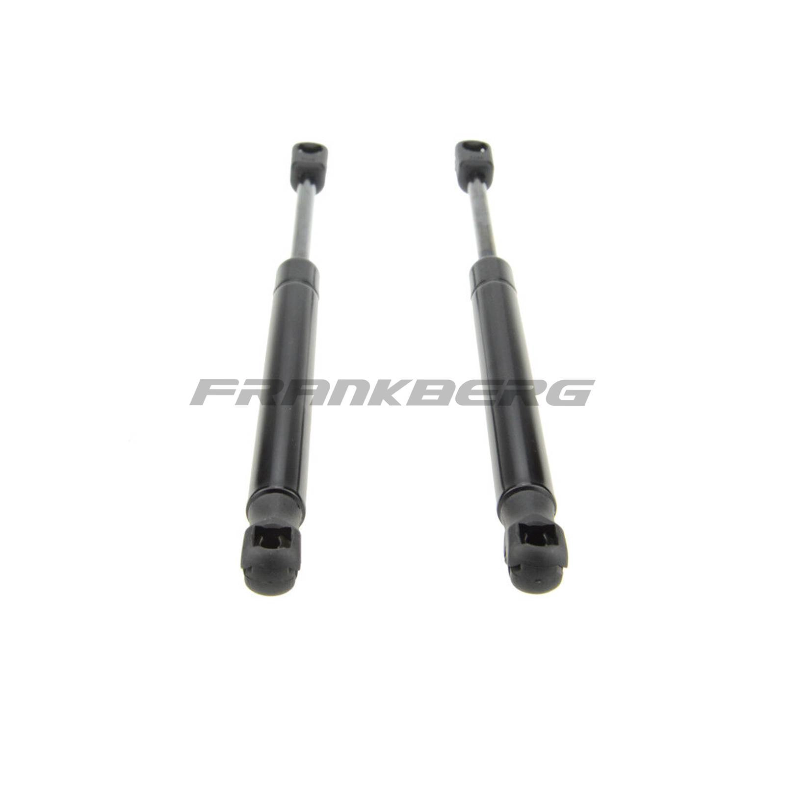 Gas Spring, boot/cargo area