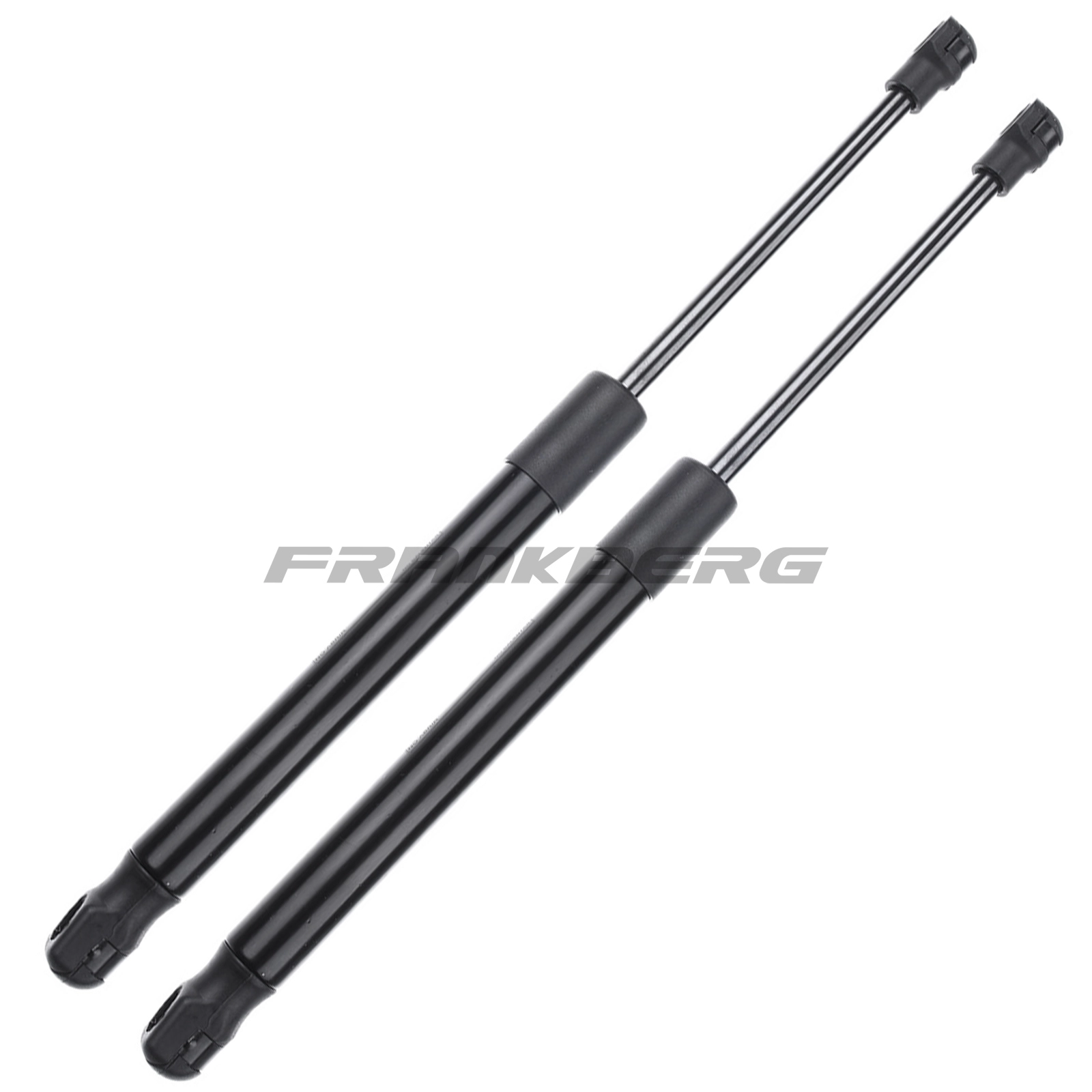 Gas Spring, boot/cargo area