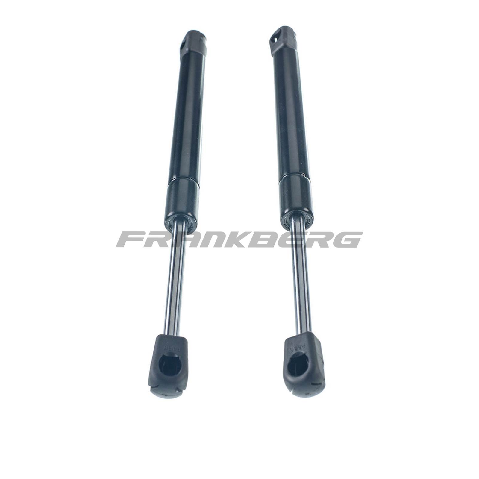 Gas Spring, boot/cargo area
