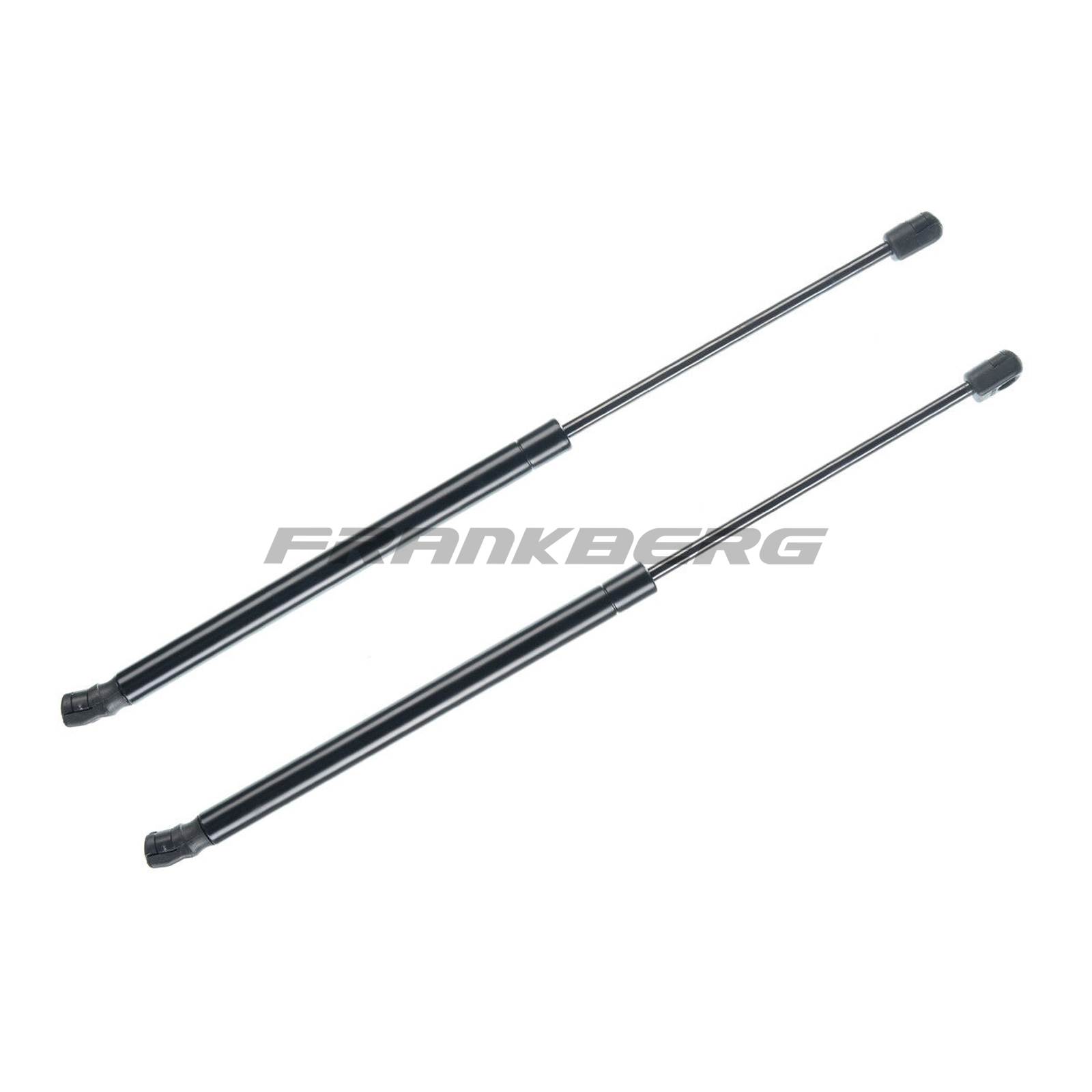 Gas Spring, boot/cargo area