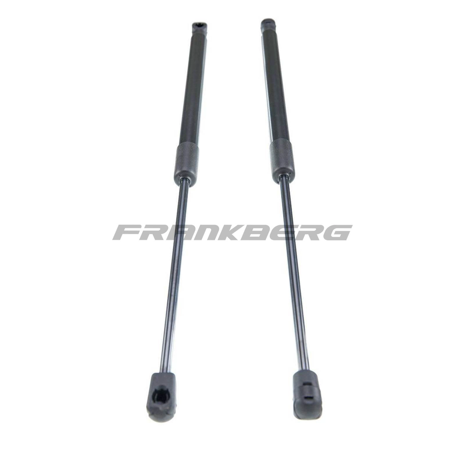 Gas Spring, boot/cargo area