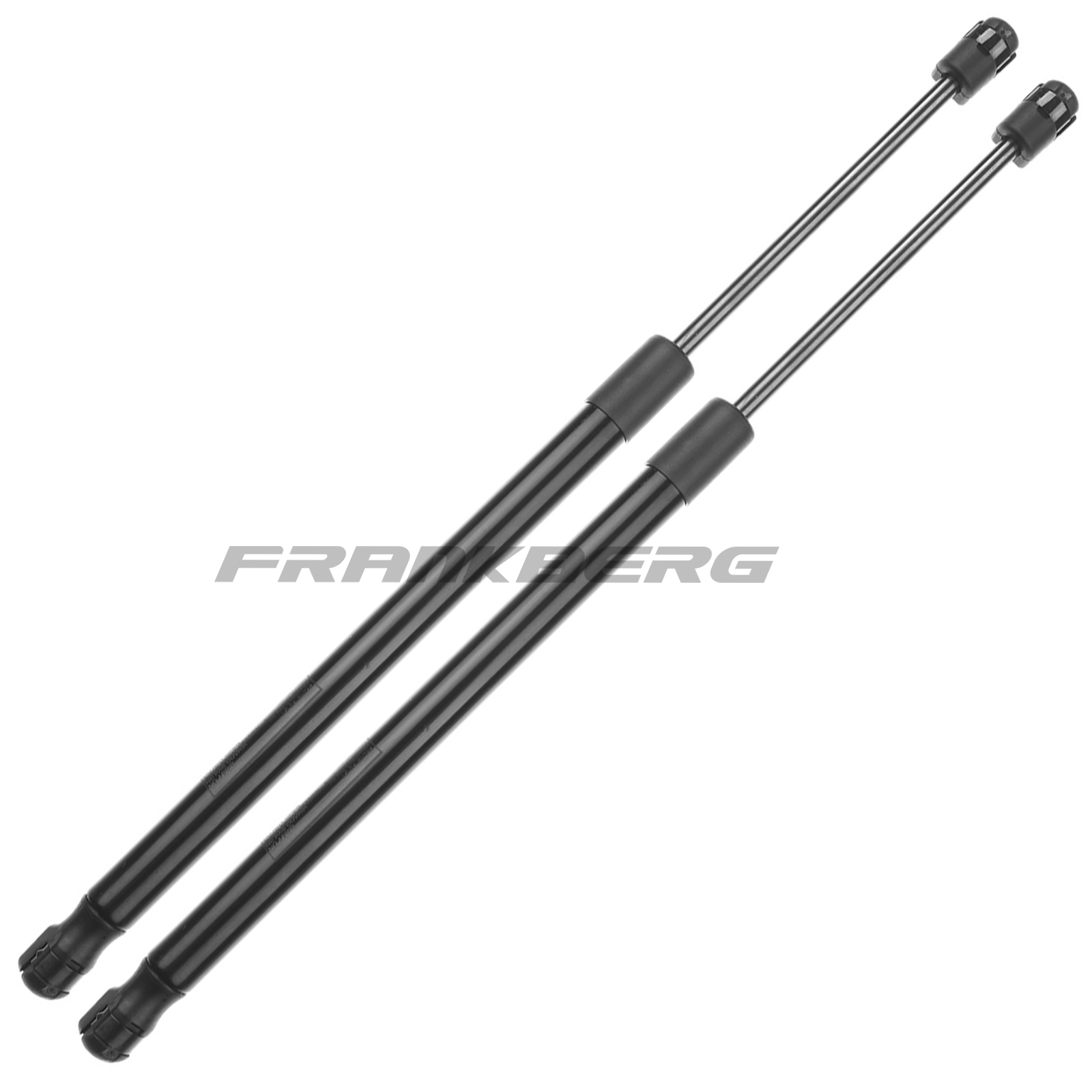 Gas Spring, boot/cargo area