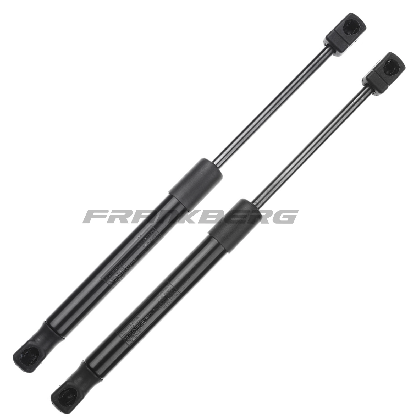 Gas Spring, boot/cargo area