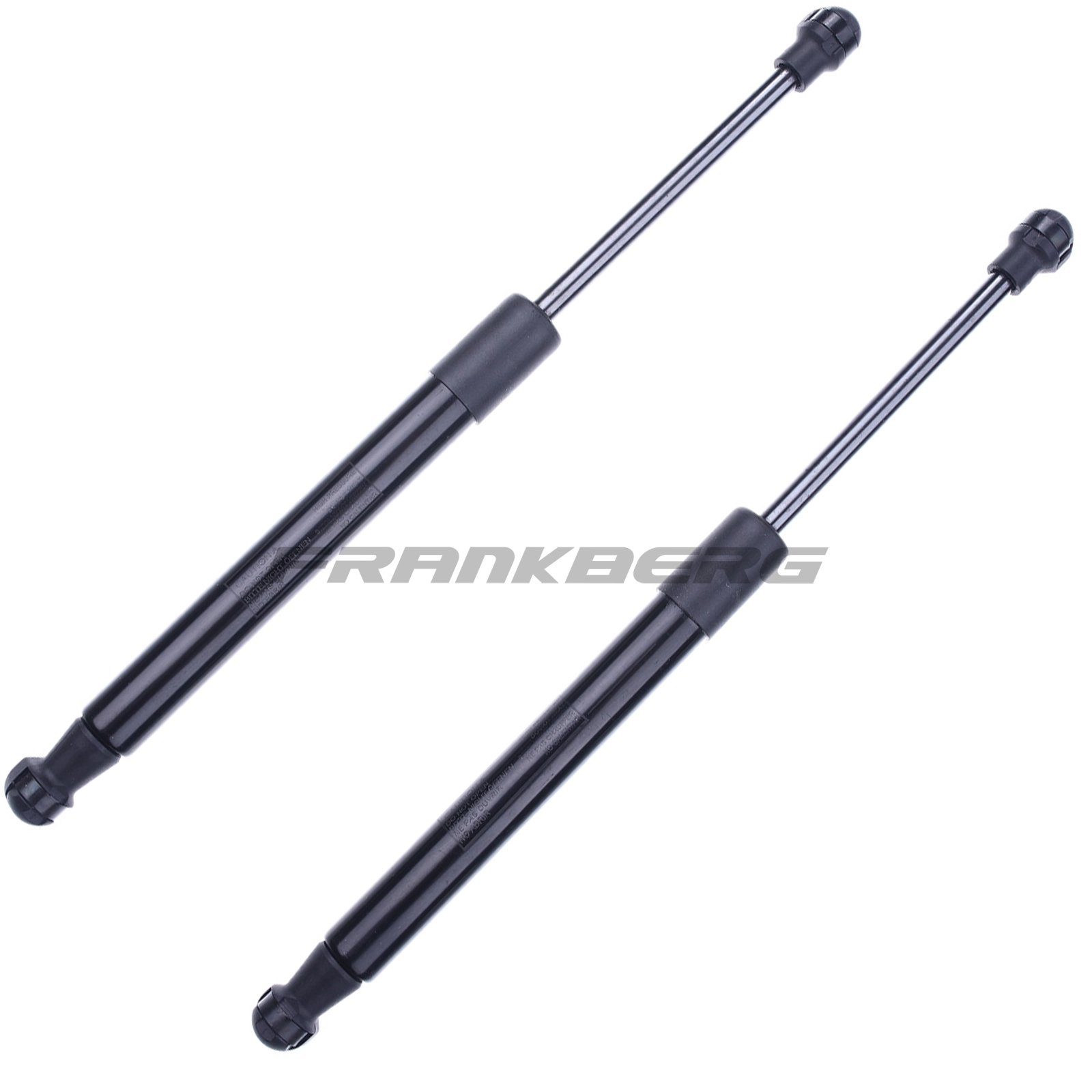 Gas Spring, boot/cargo area