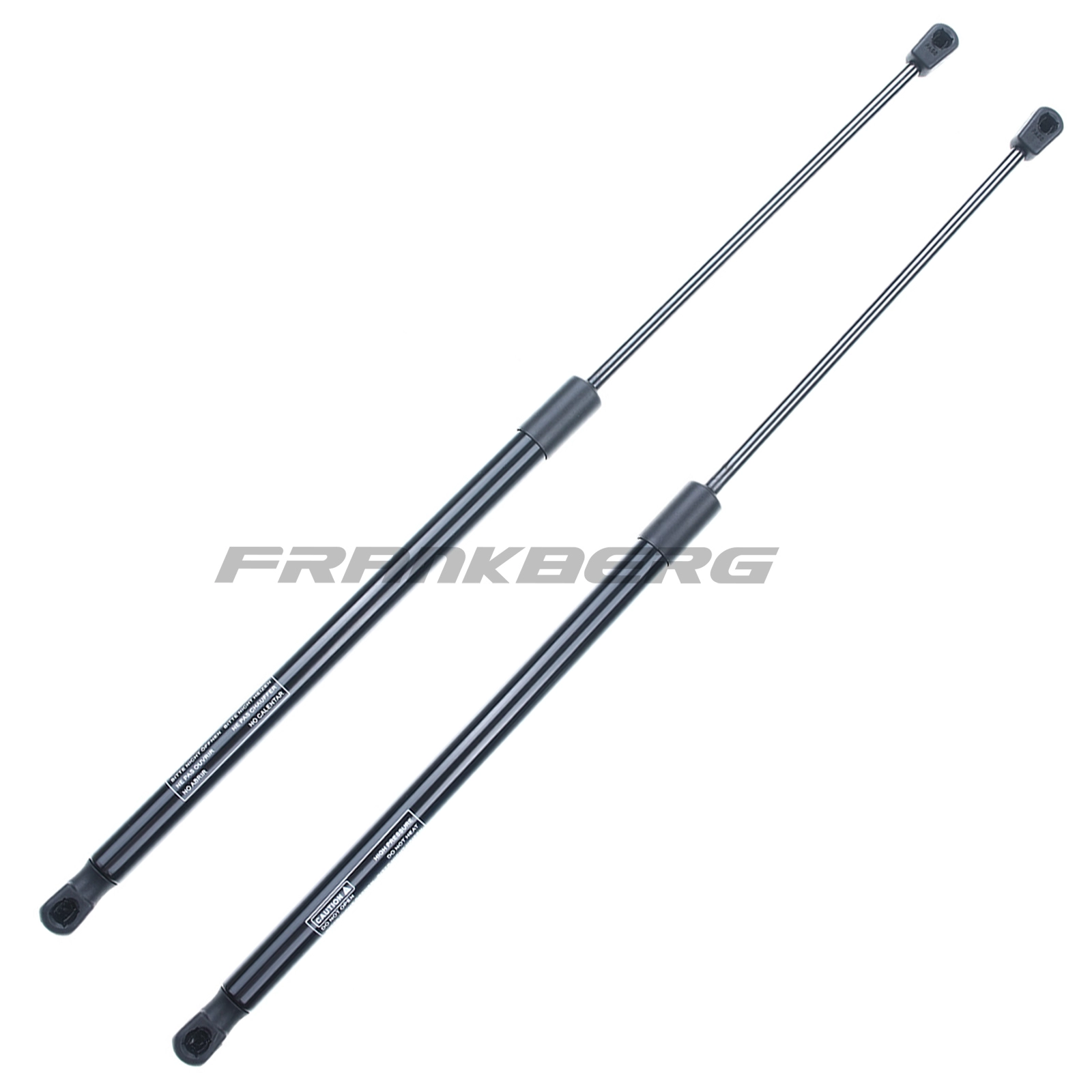 Gas Spring, boot/cargo area