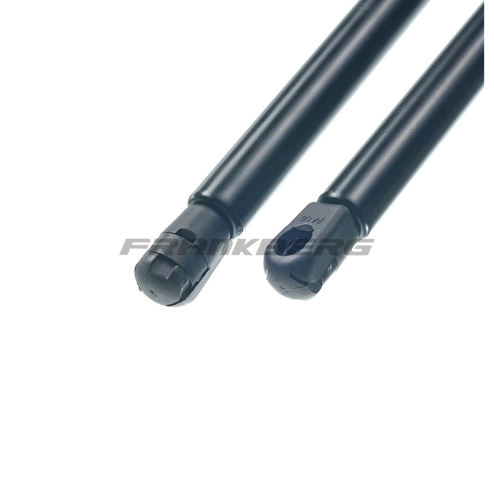 Gas Spring, boot/cargo area