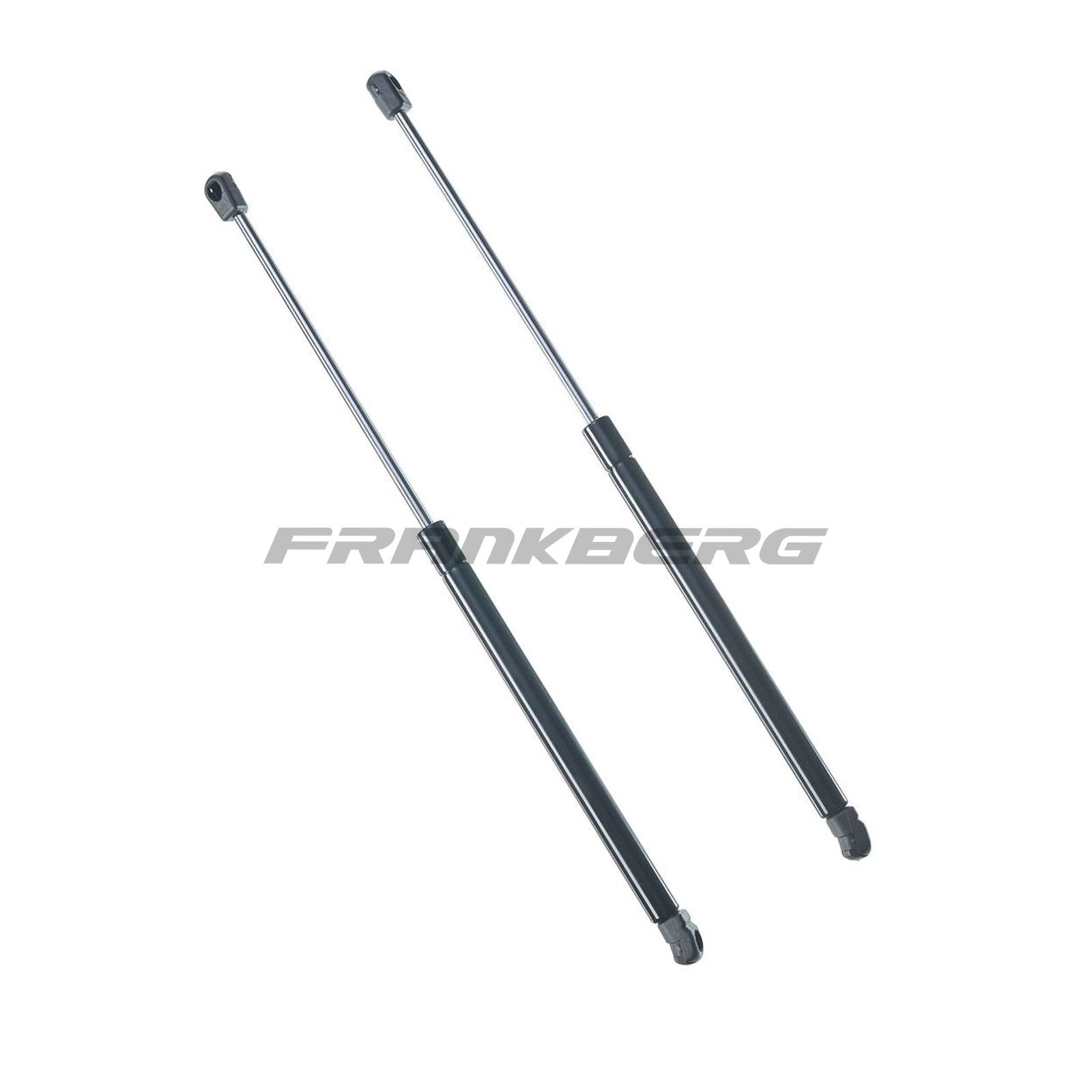 Gas Spring, boot/cargo area