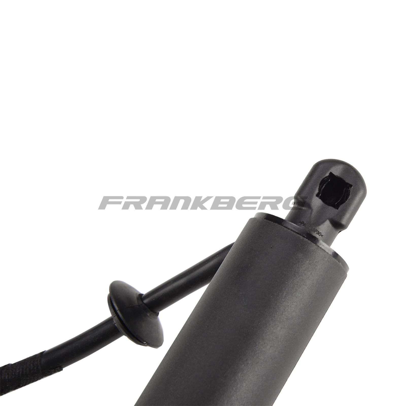 Gas Spring, boot/cargo area