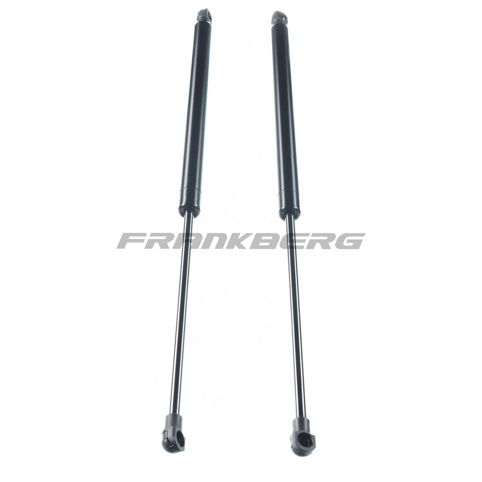 Gas Spring, boot/cargo area