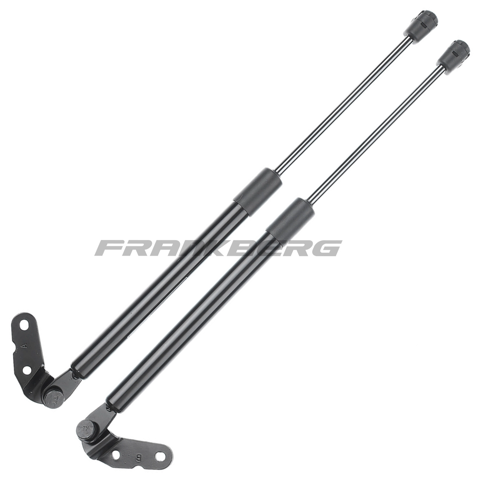 Gas Spring, boot/cargo area