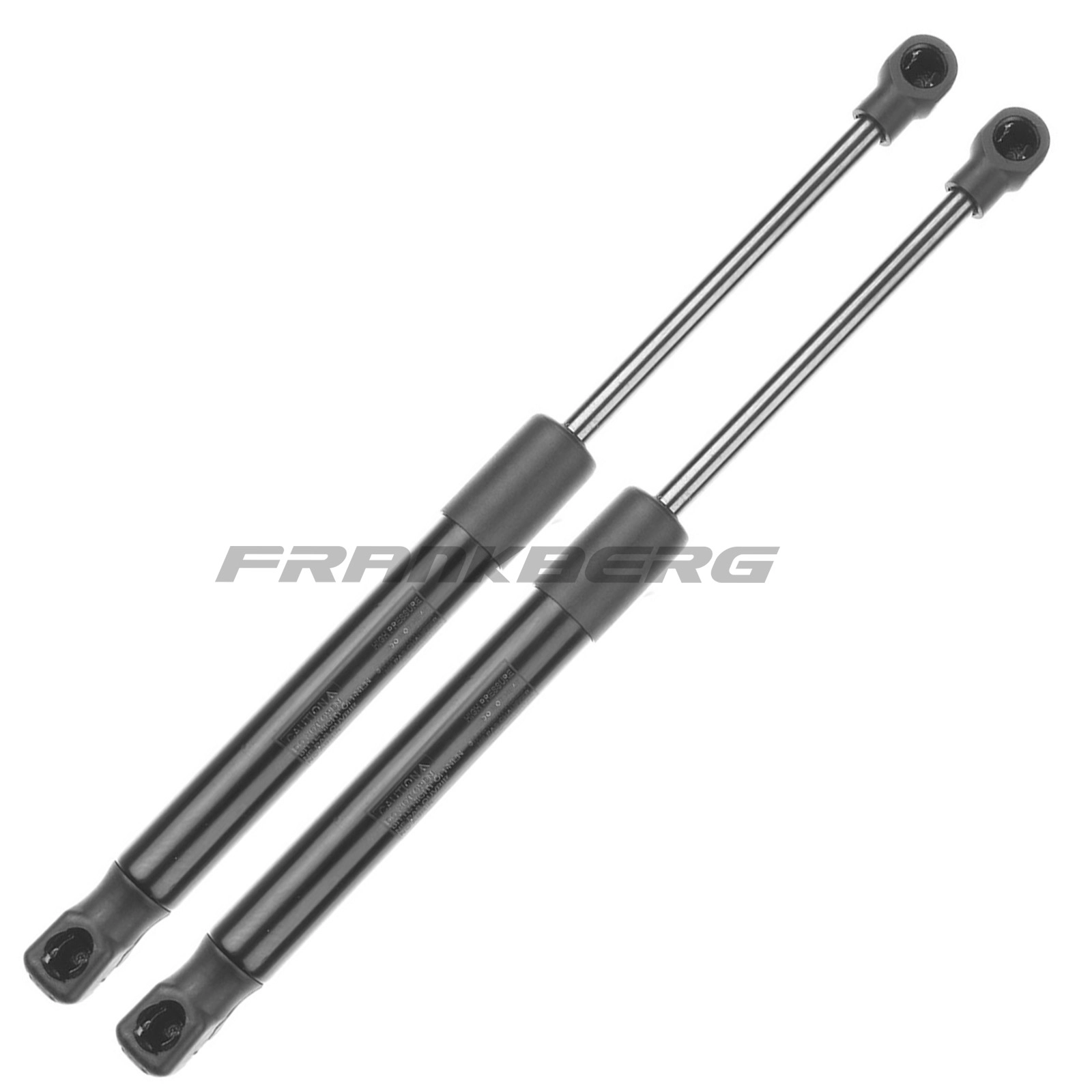 Gas Spring, boot/cargo area