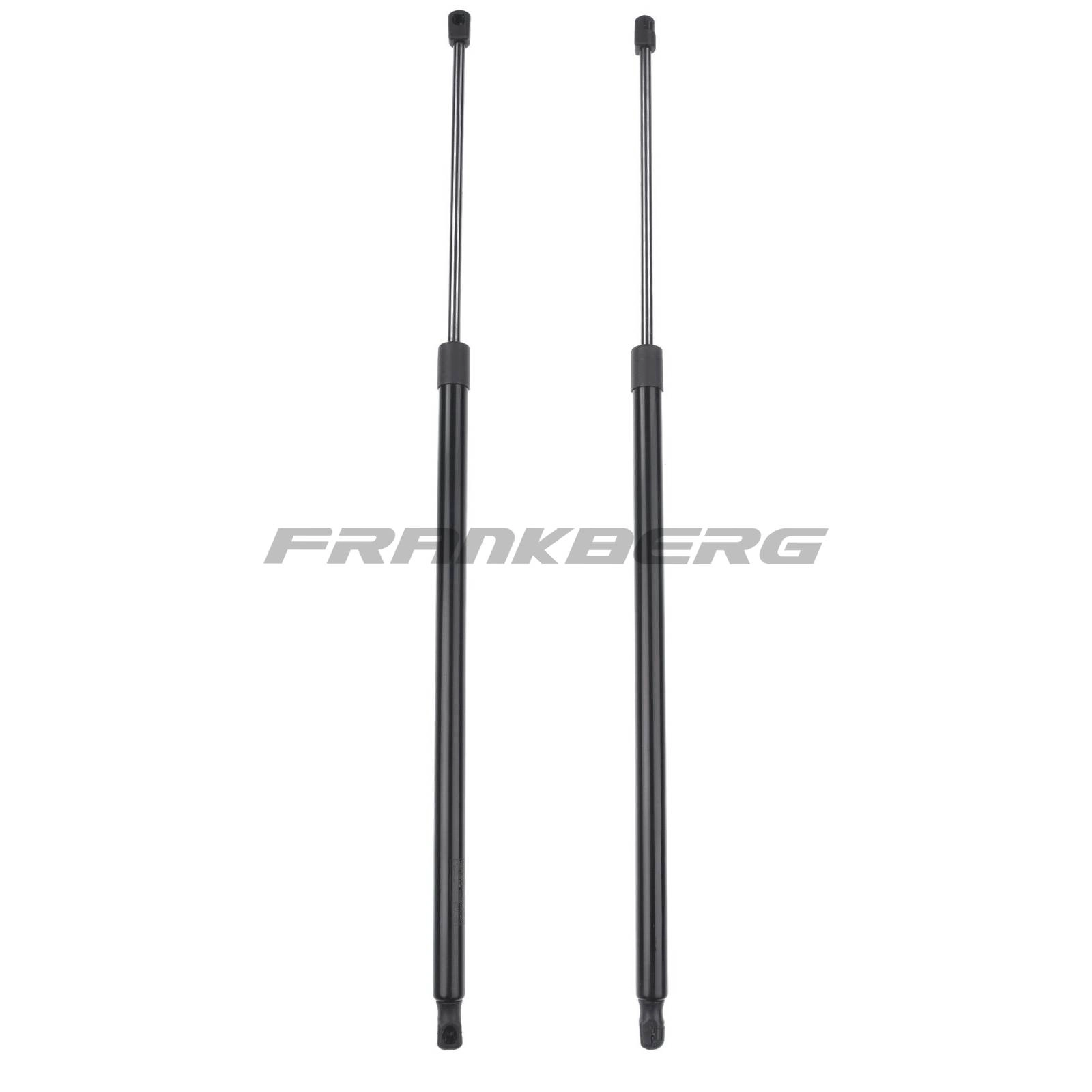 Gas Spring, boot/cargo area