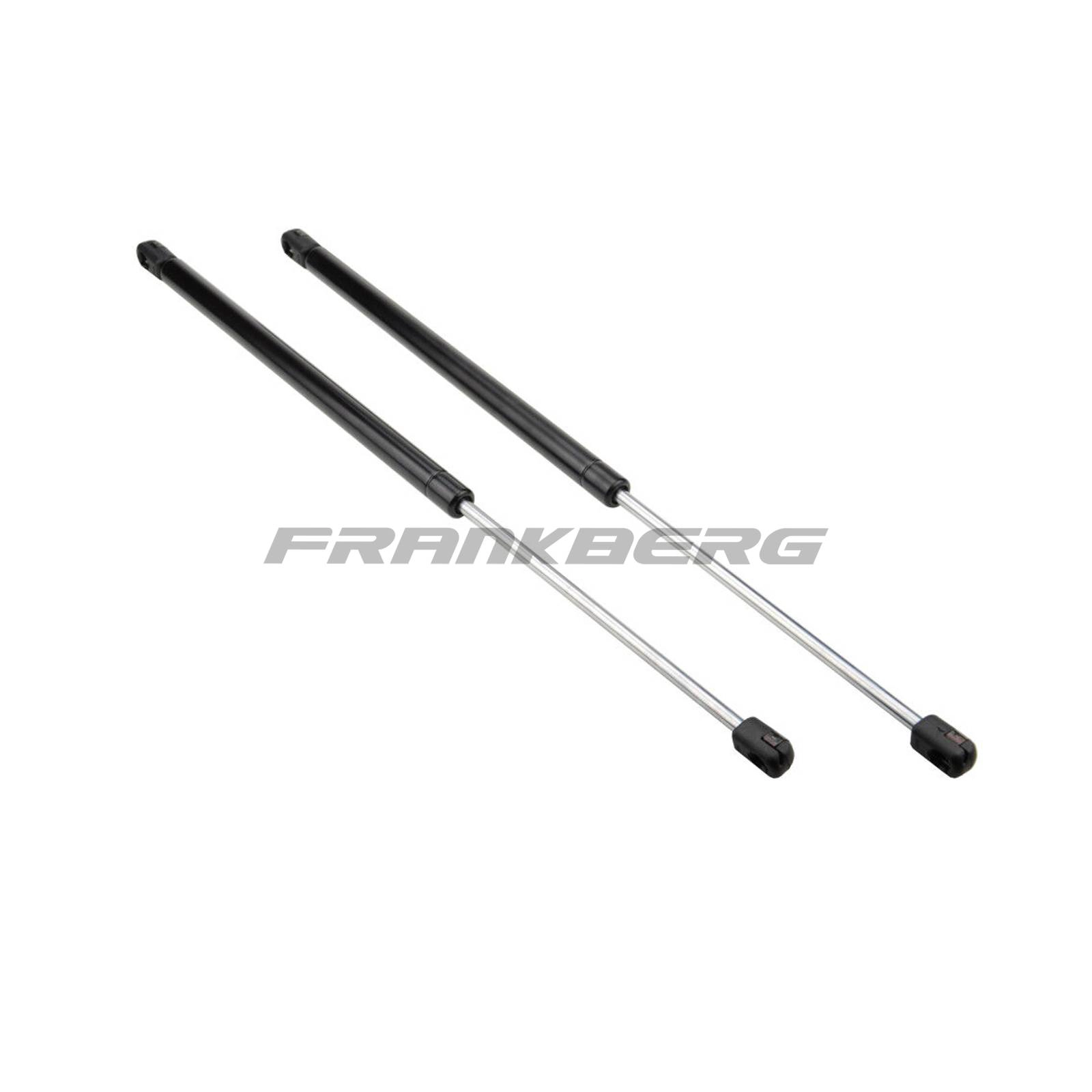 Gas Spring, boot/cargo area