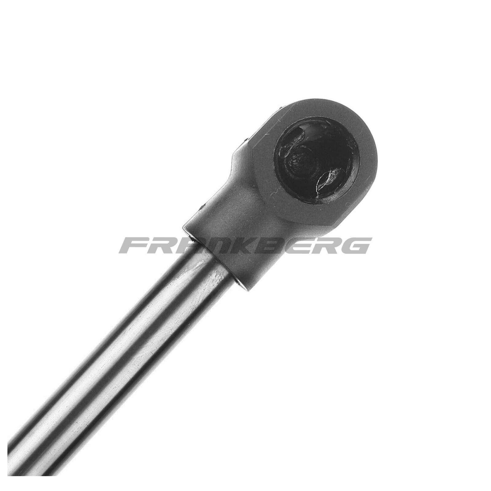 Gas Spring, boot/cargo area