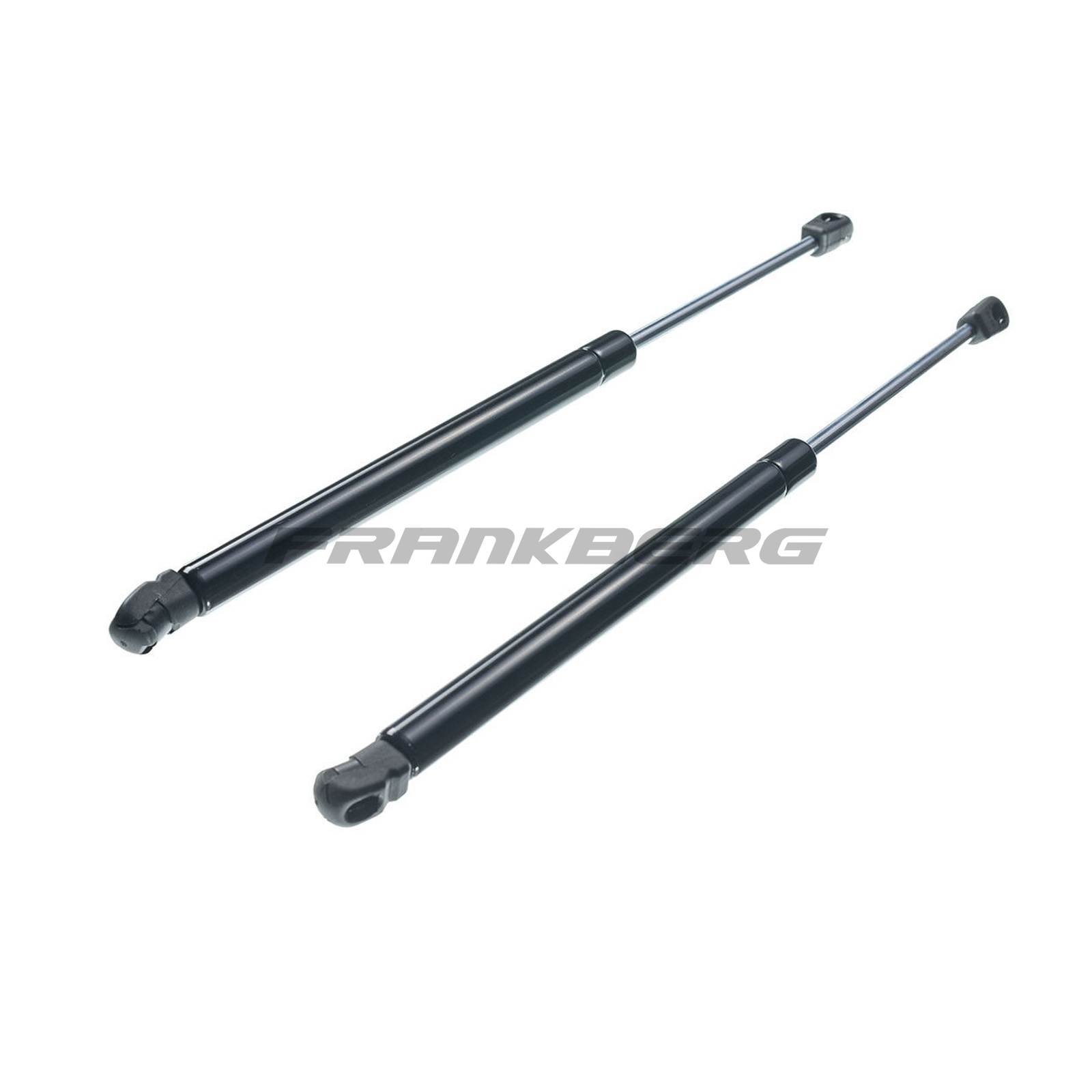 Gas Spring, boot/cargo area