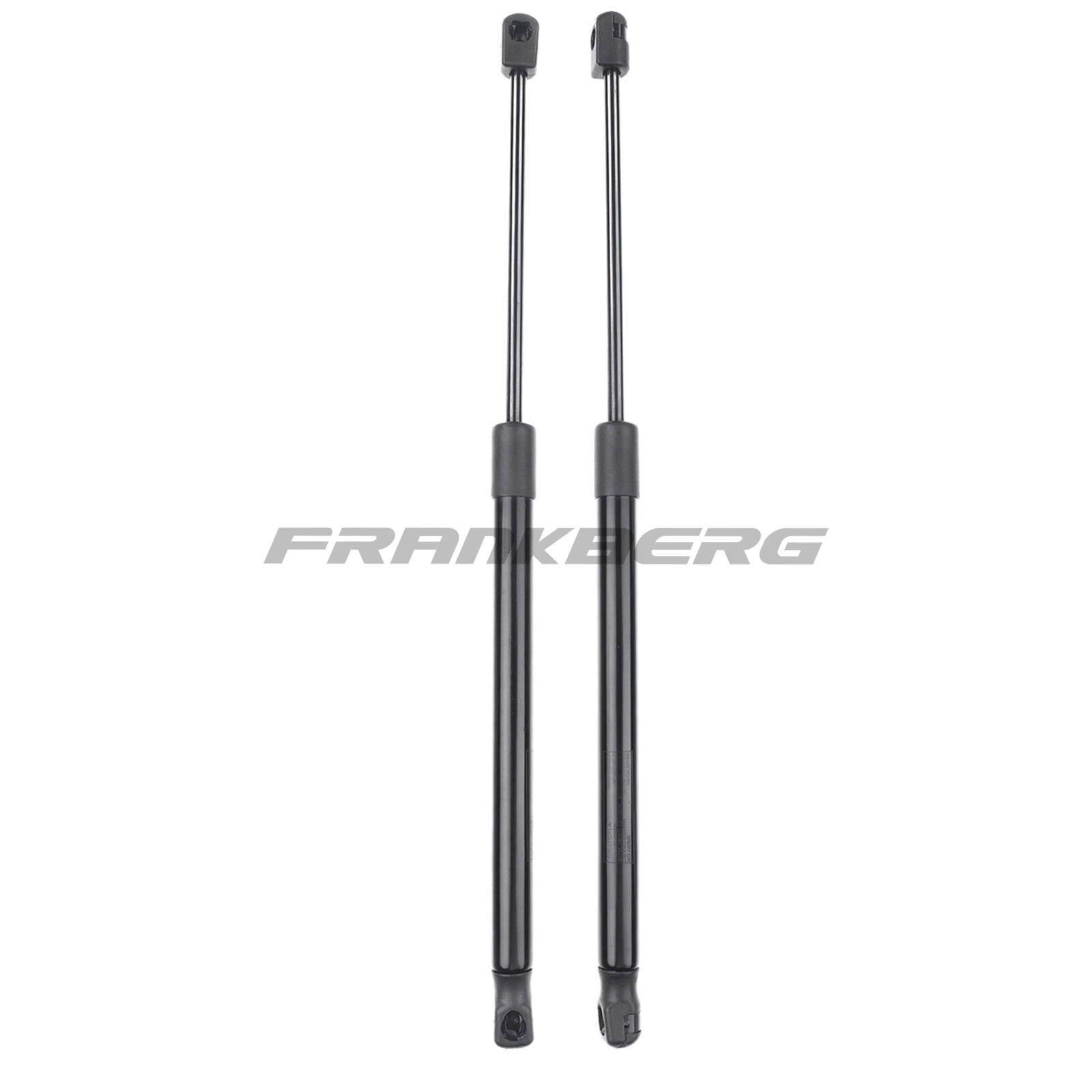Gas Spring, boot/cargo area