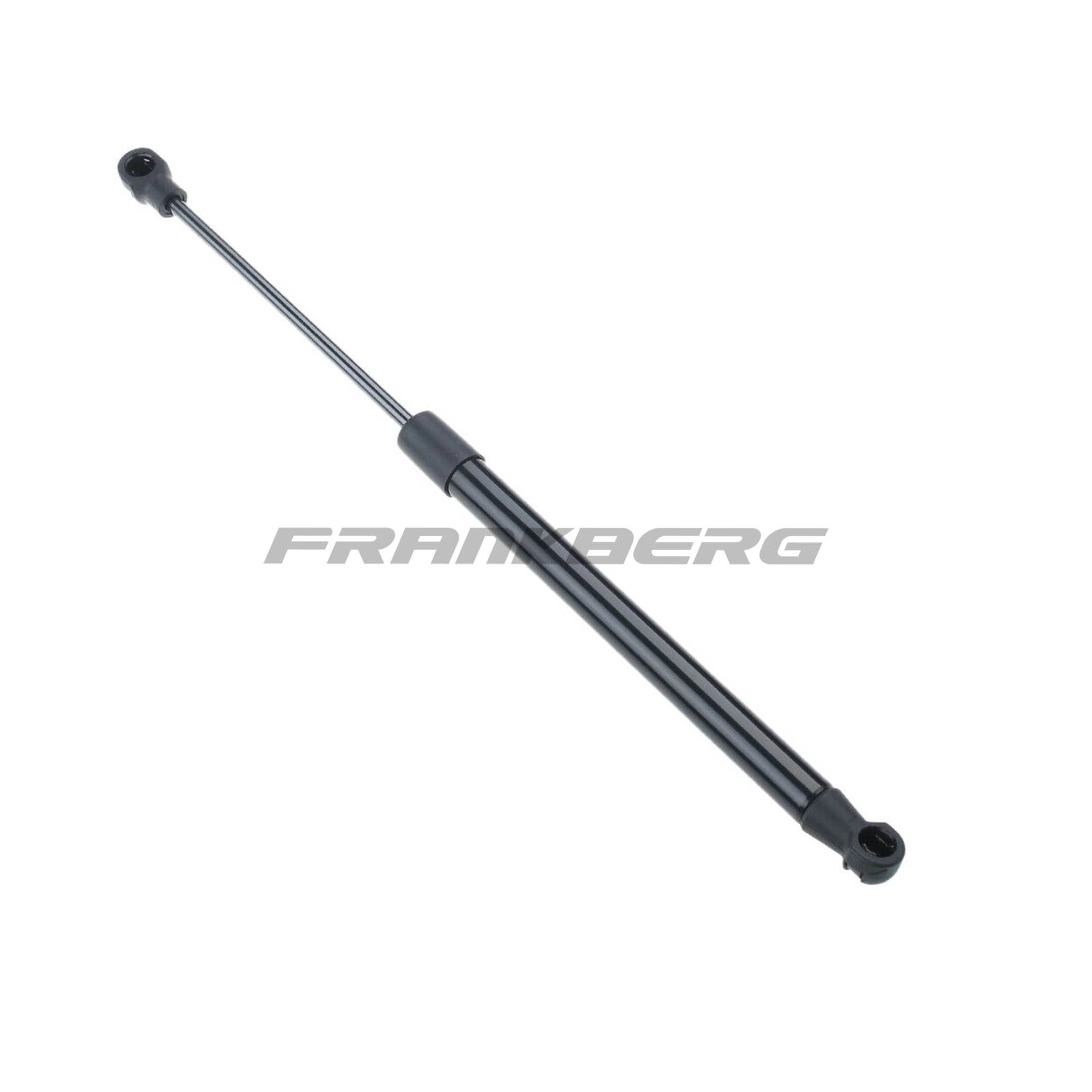 Gas Spring, boot/cargo area