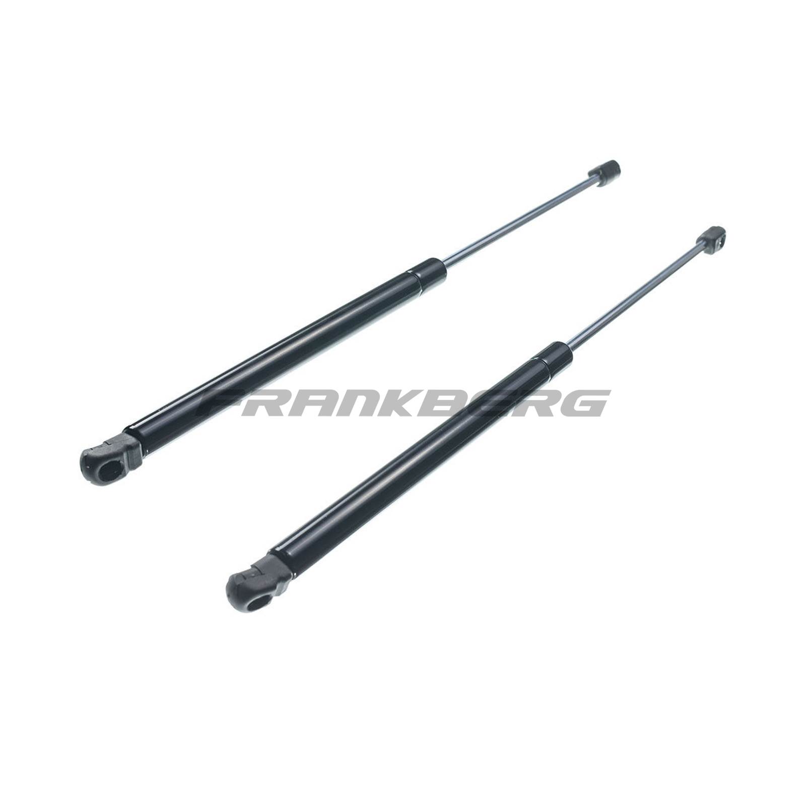 Gas Spring, boot/cargo area