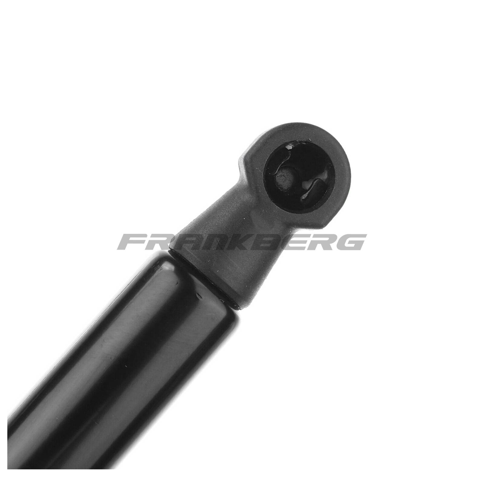 Gas Spring, boot/cargo area