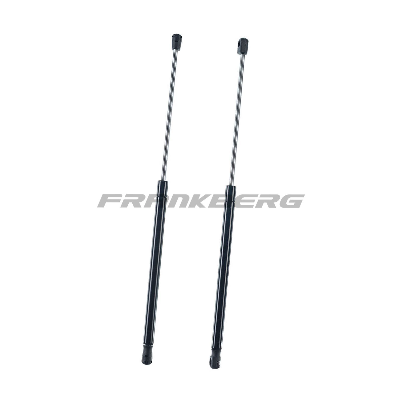 Gas Spring, boot/cargo area