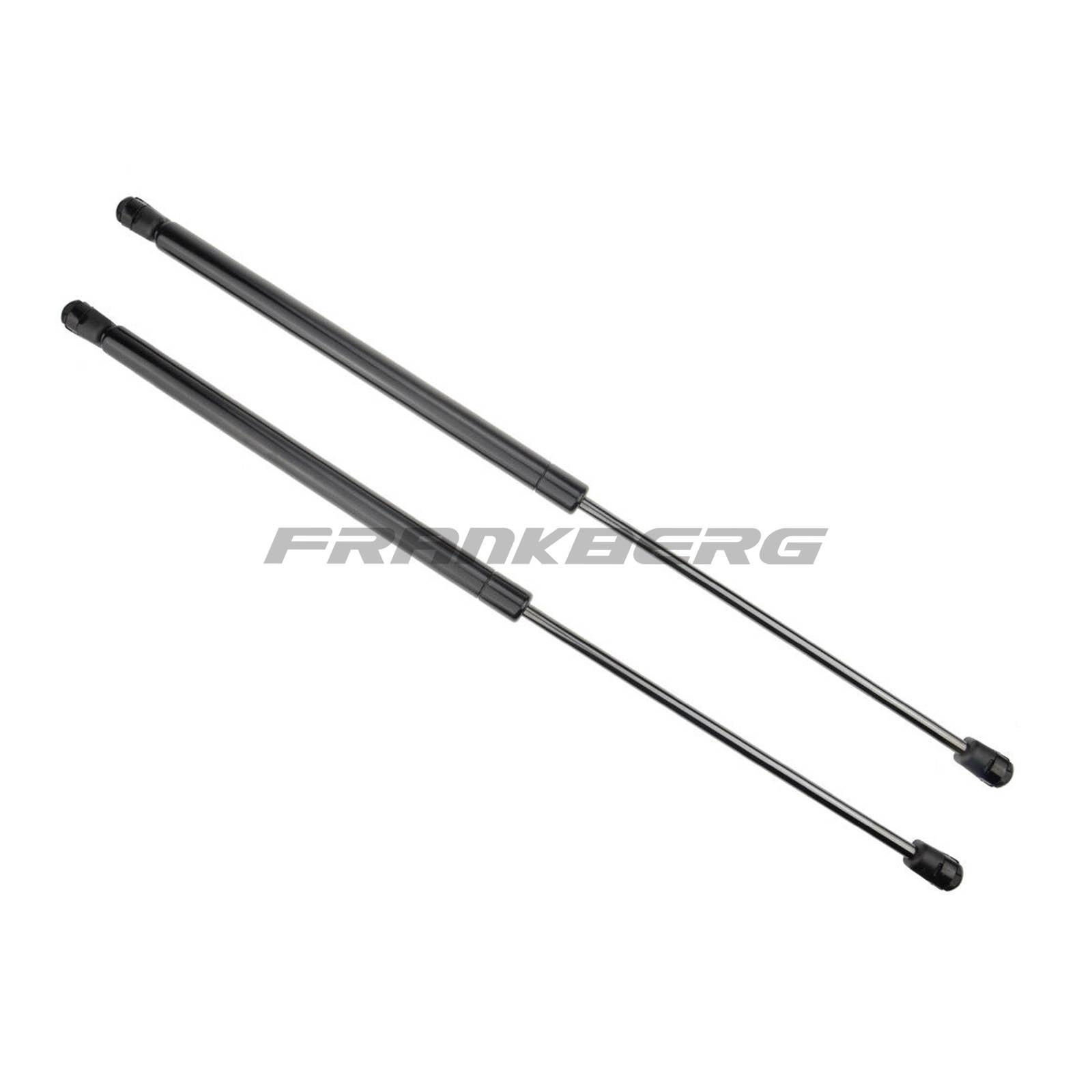 Gas Spring, boot/cargo area