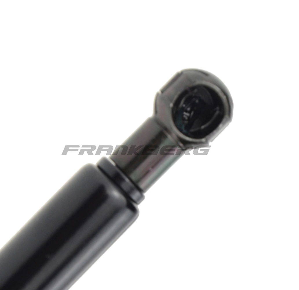 Gas Spring, bonnet