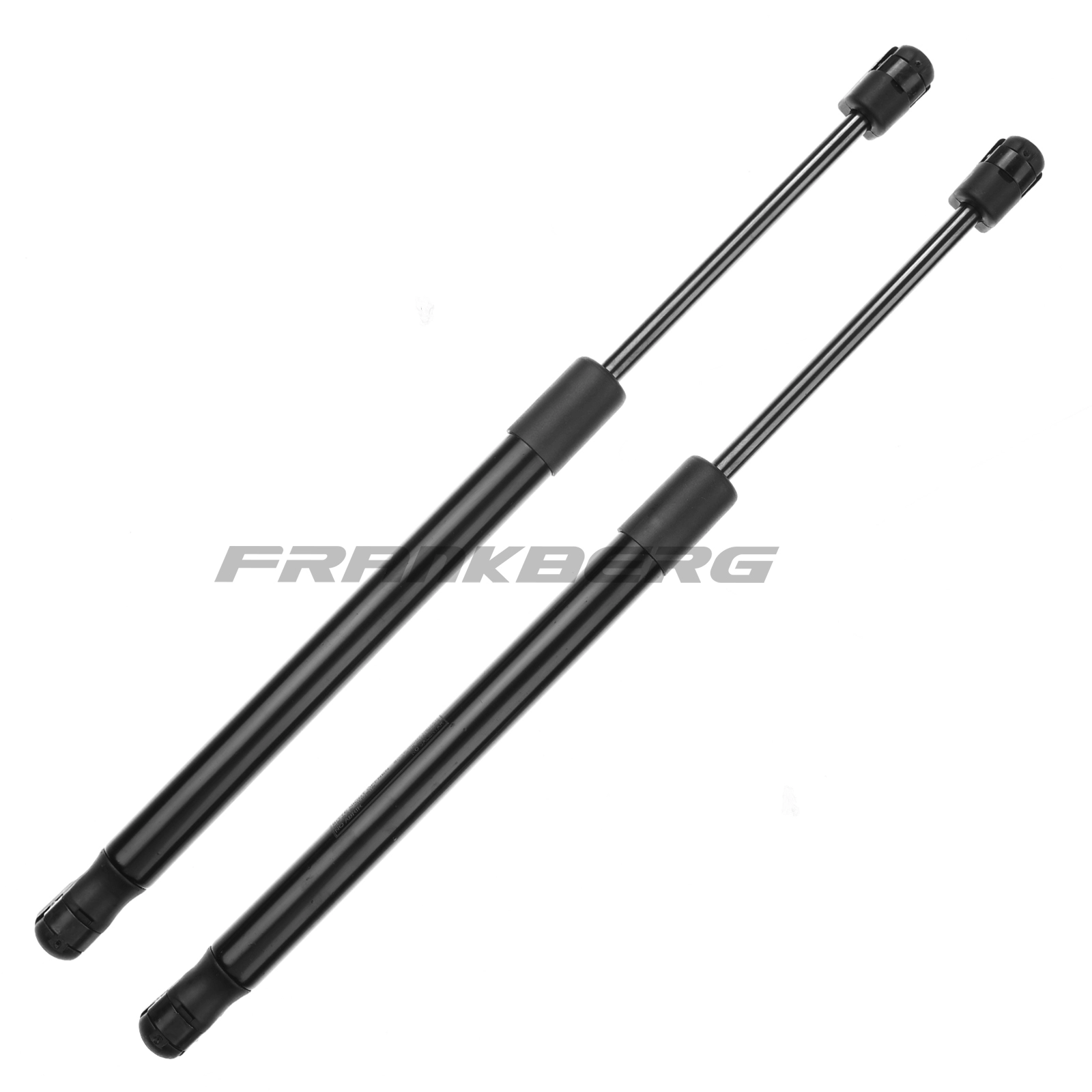 Gas Spring, boot/cargo area
