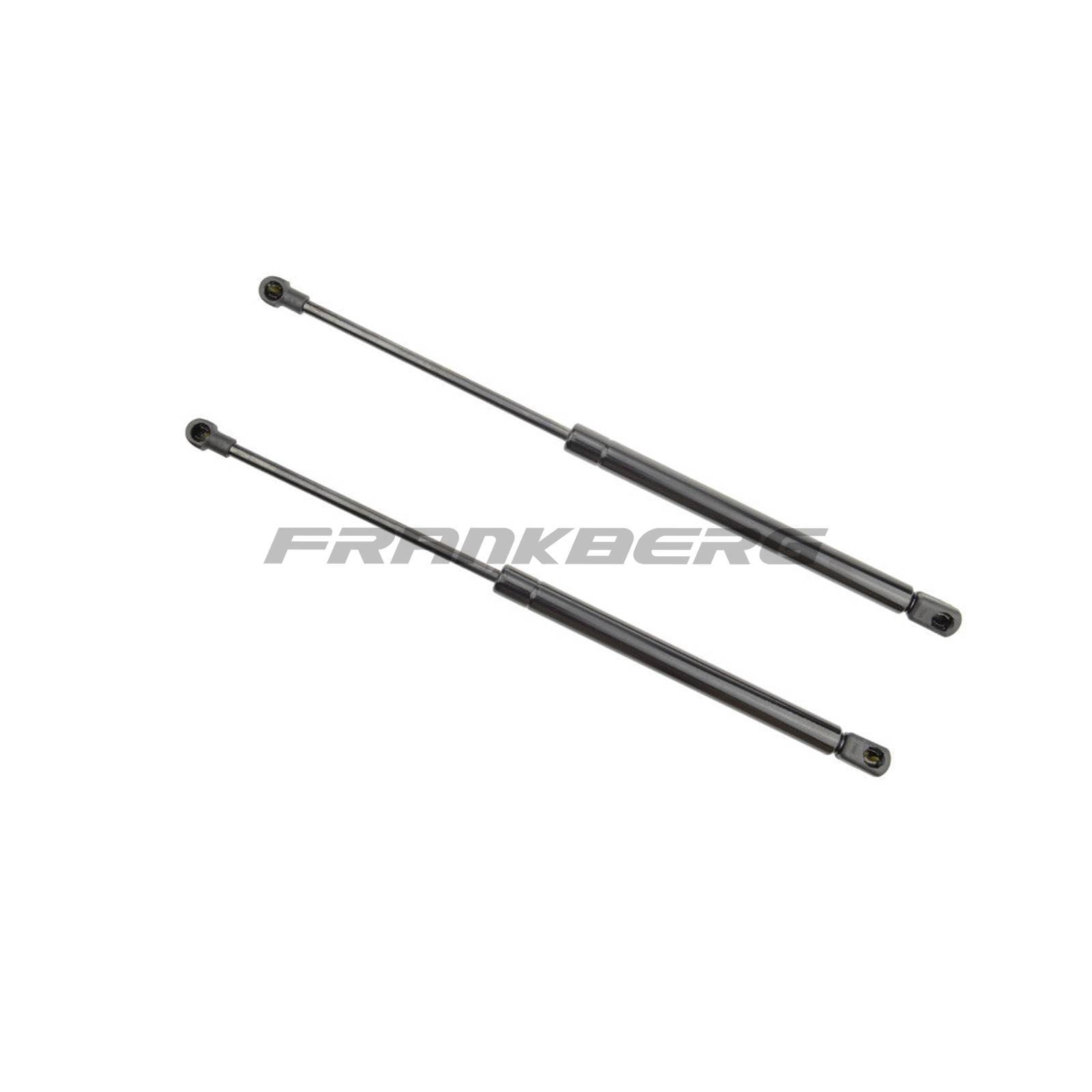 Gas Spring, boot/cargo area