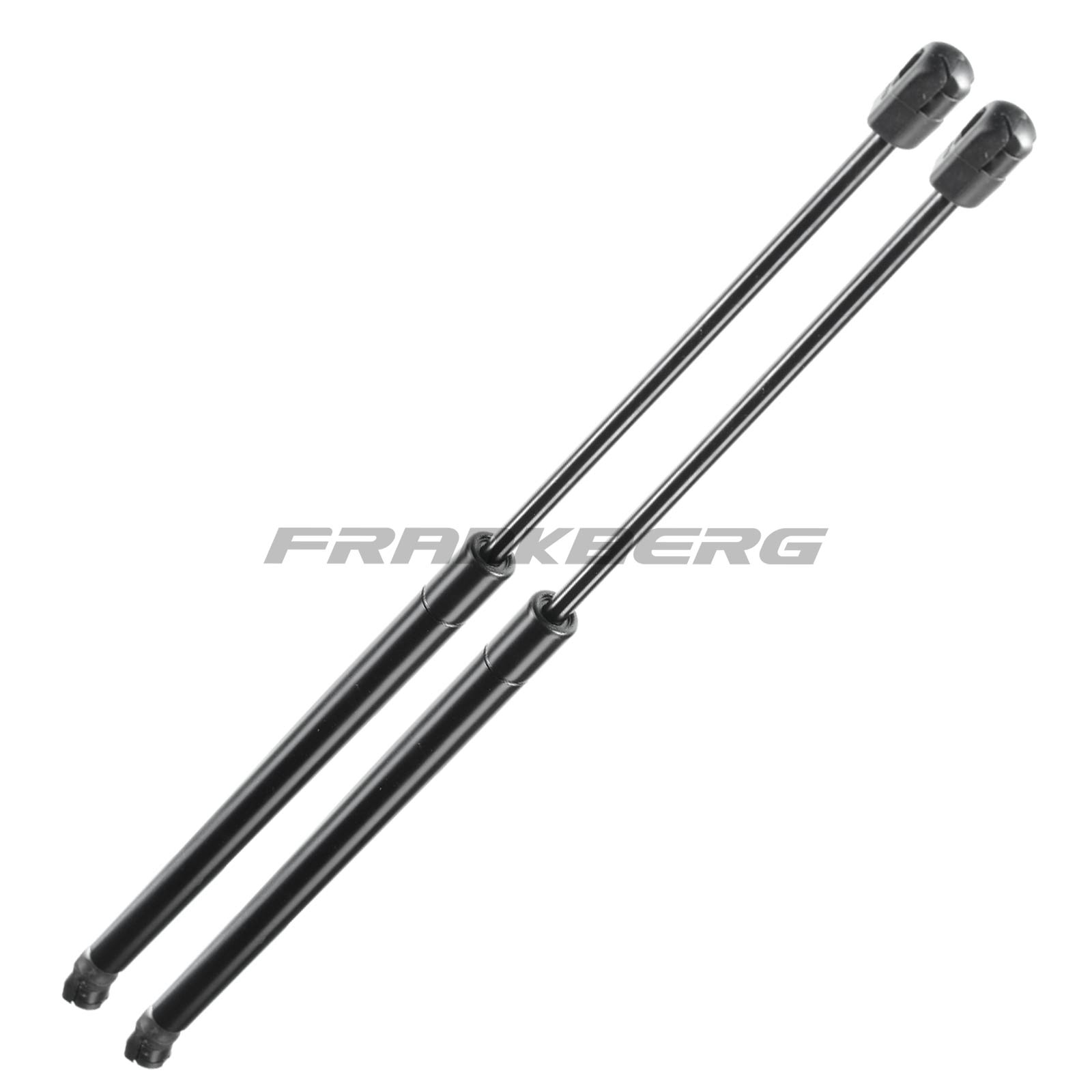 Gas Spring, boot/cargo area