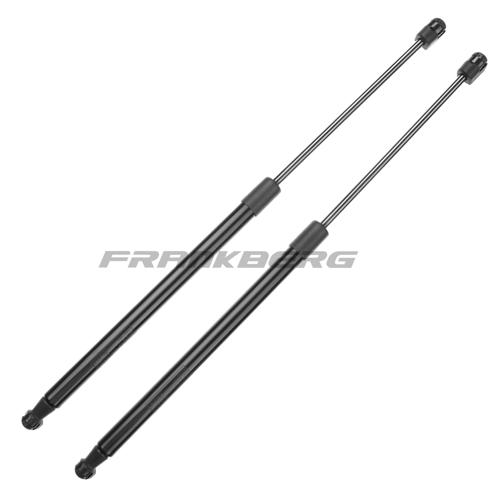 Gas Spring, boot/cargo area