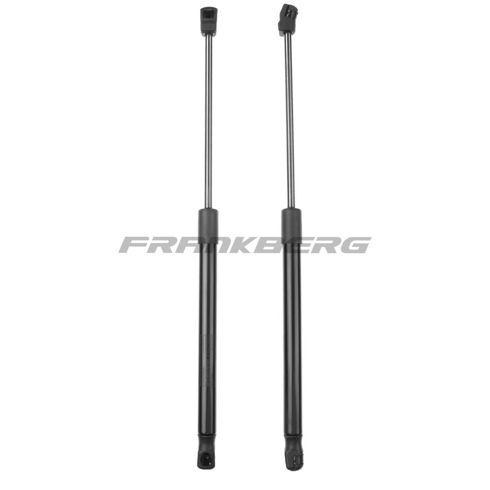 Gas Spring, boot/cargo area