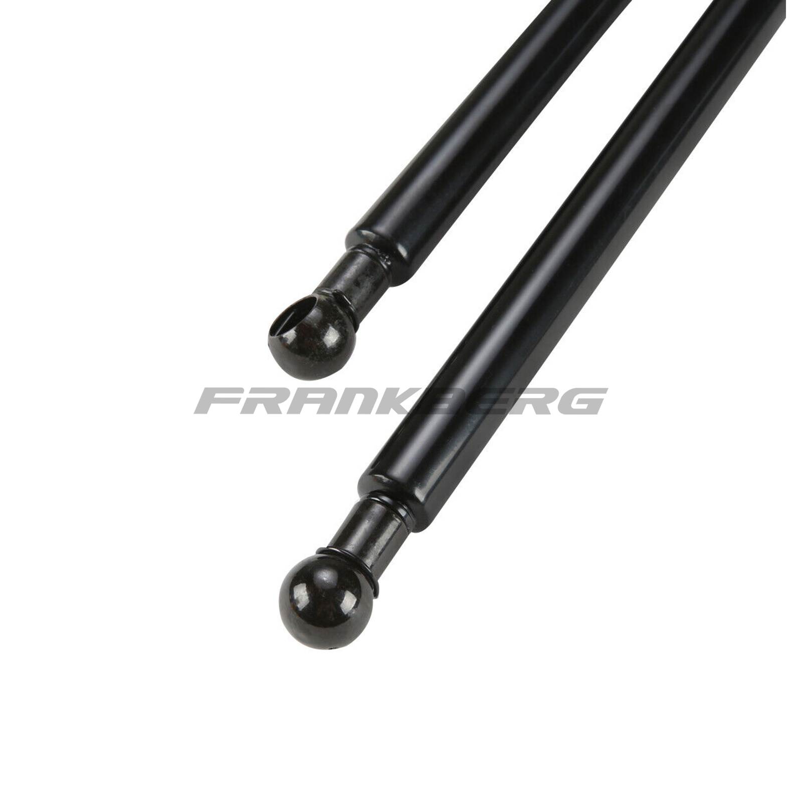 Gas Spring, boot/cargo area