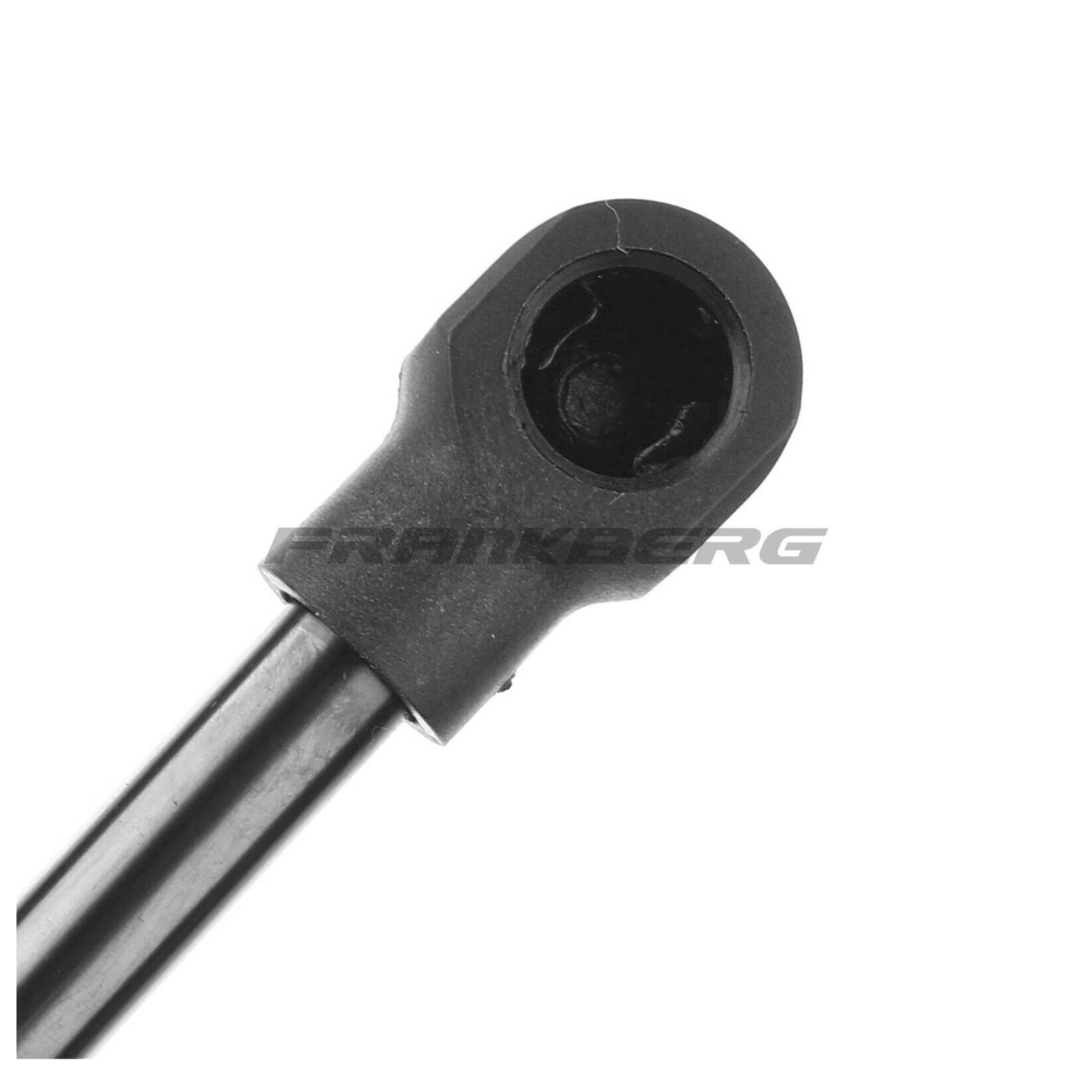 Gas Spring, boot/cargo area