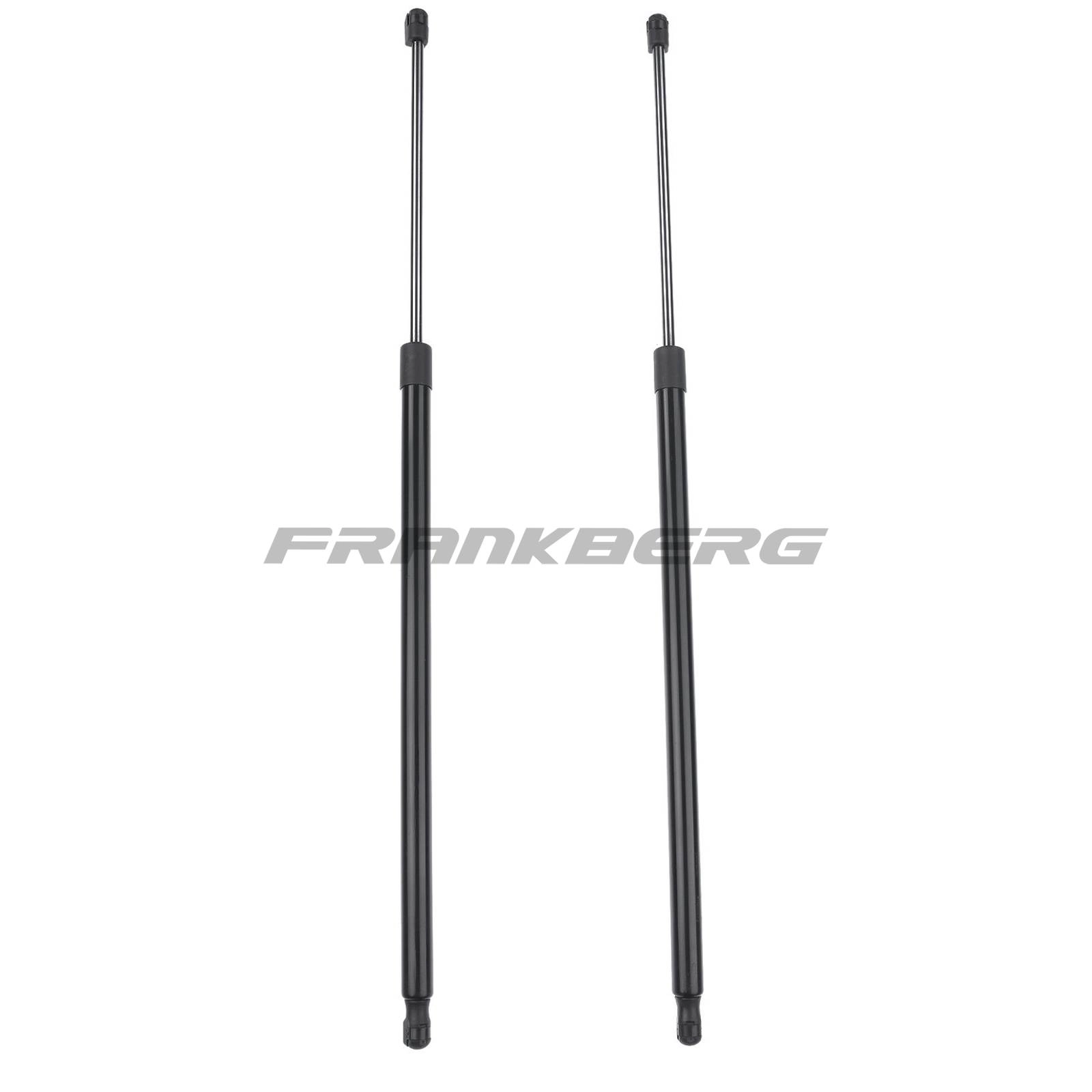 Gas Spring, boot/cargo area