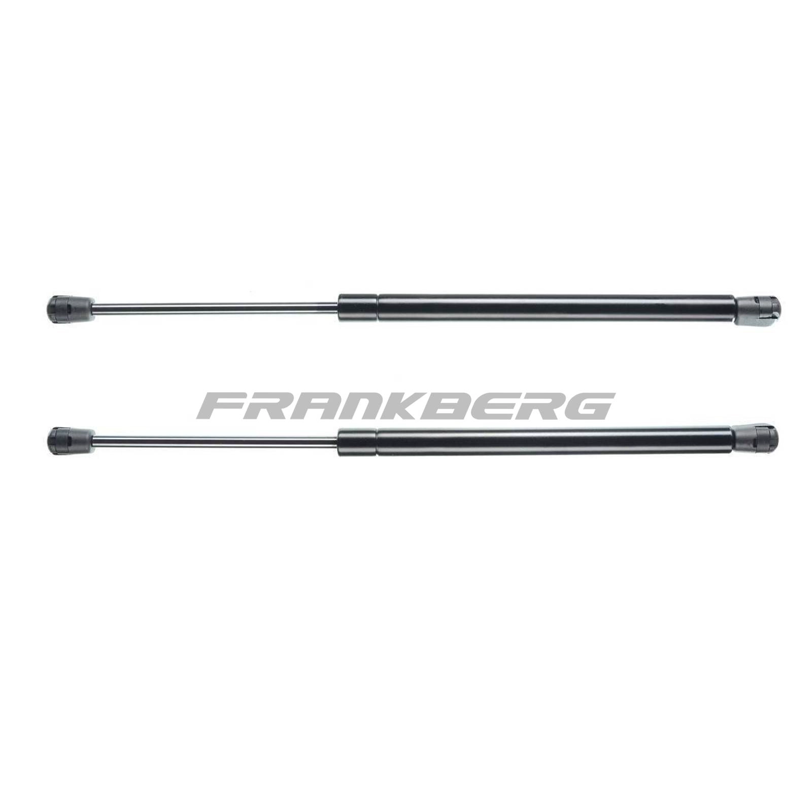 Gas Spring, boot/cargo area