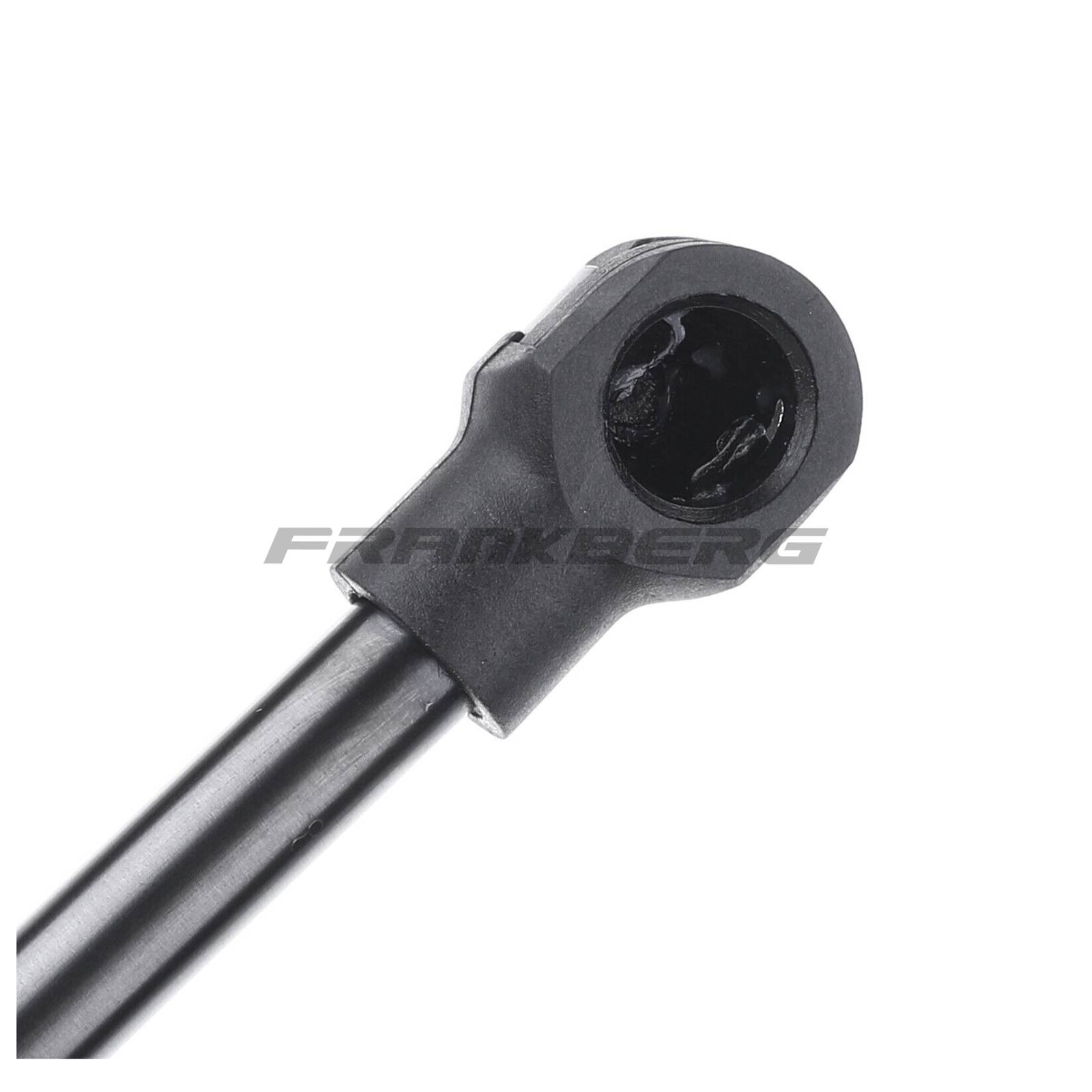 Gas Spring, boot/cargo area