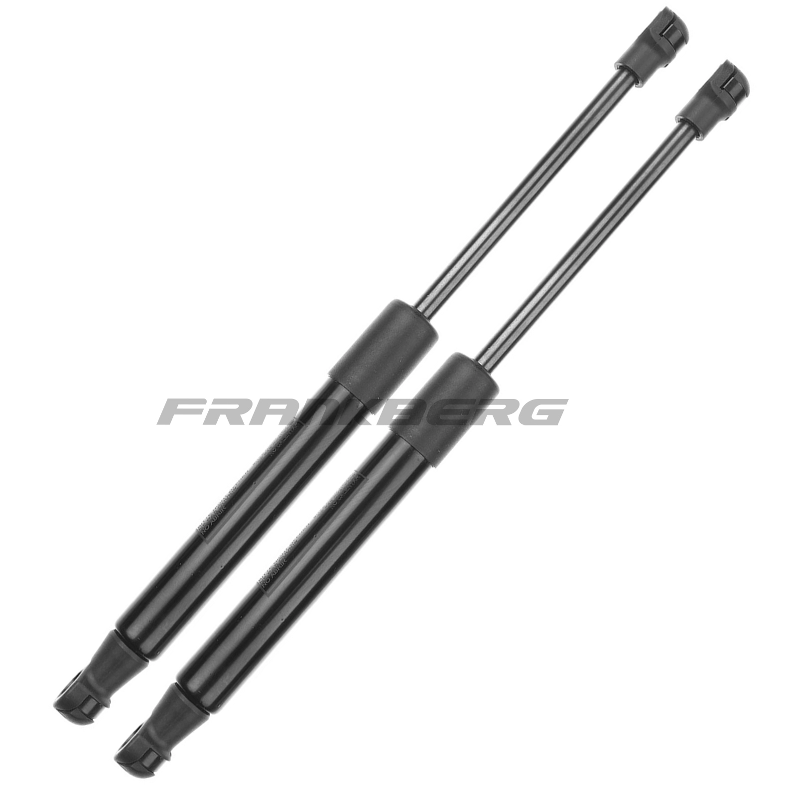 Gas Spring, boot/cargo area