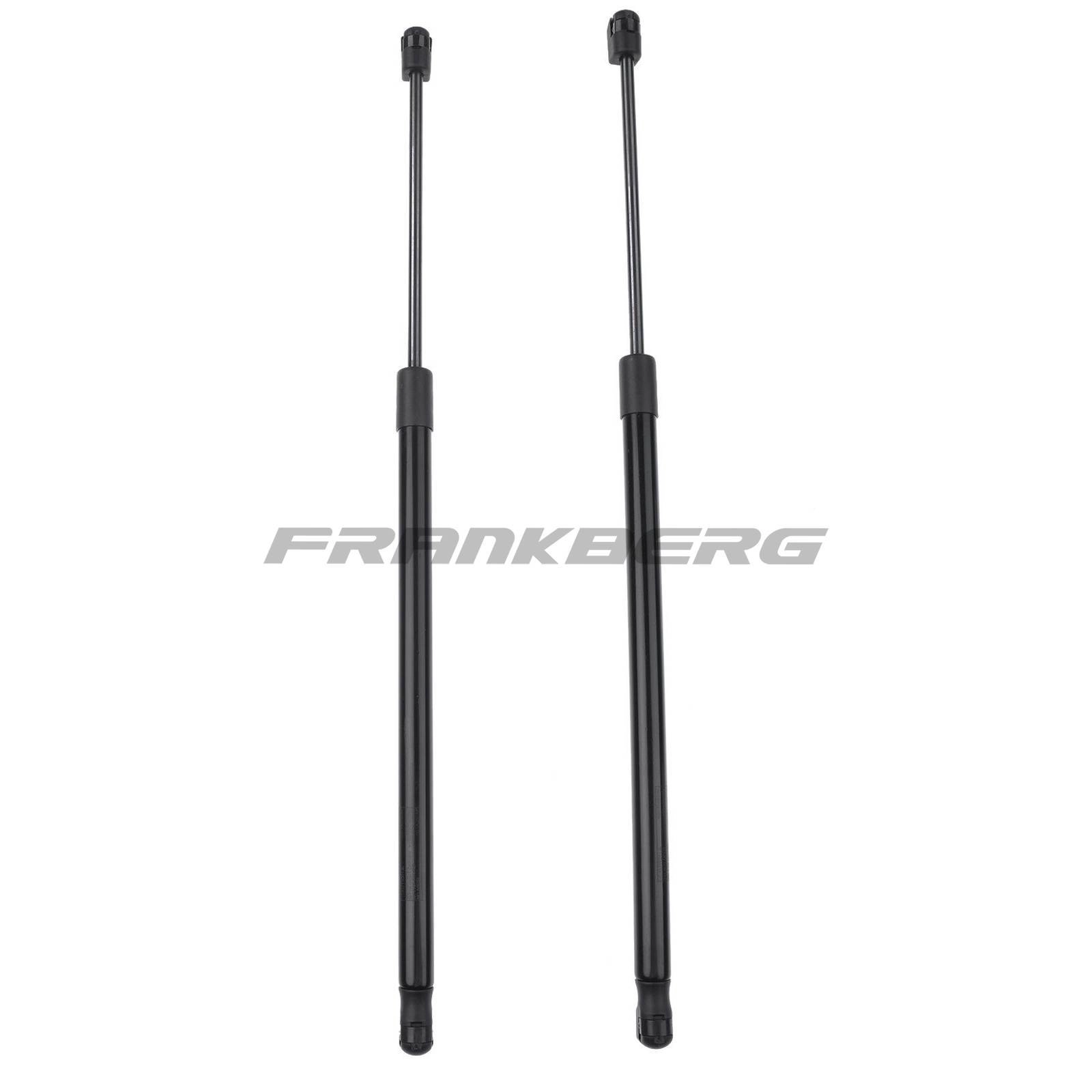 Gas Spring, boot/cargo area