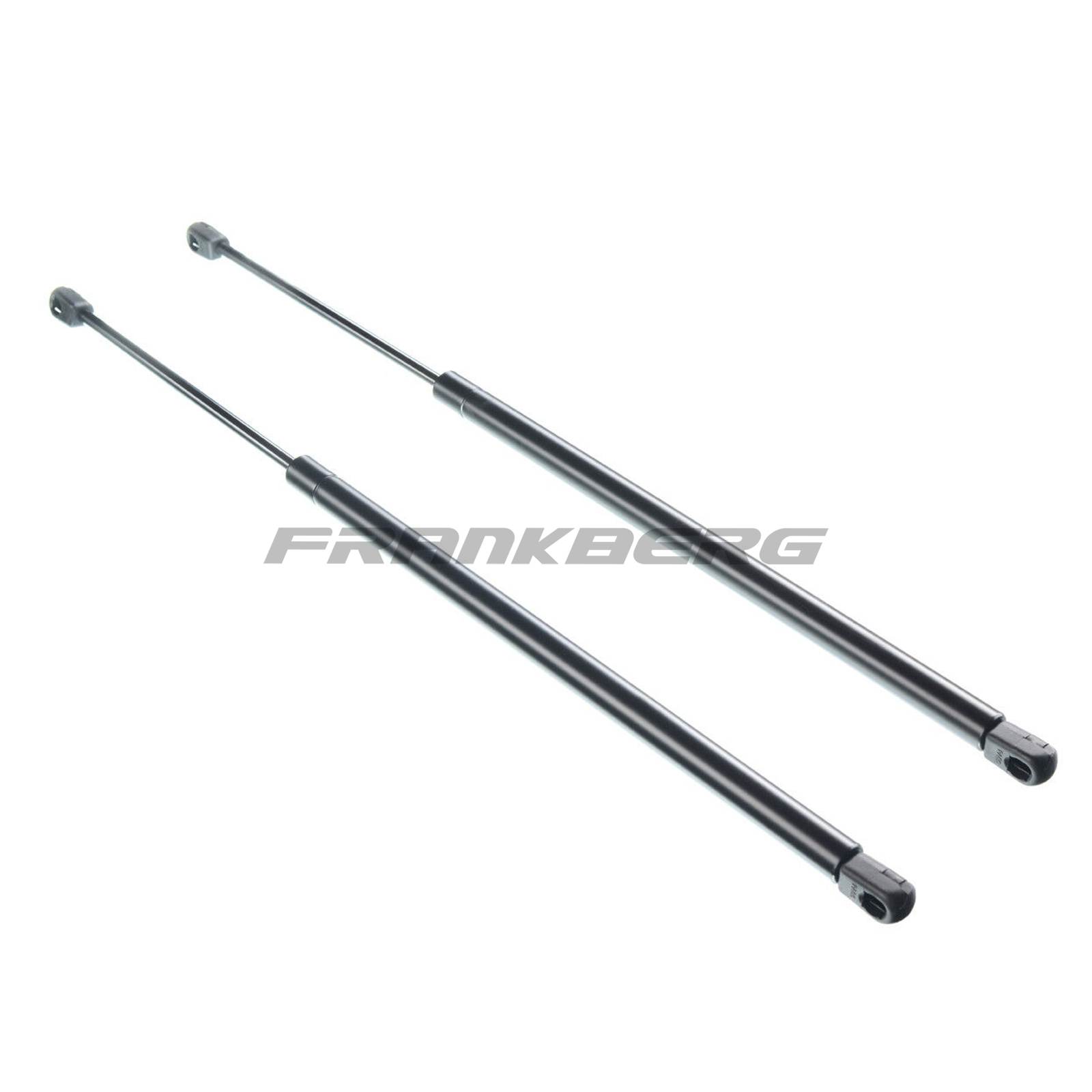 Gas Spring, boot/cargo area