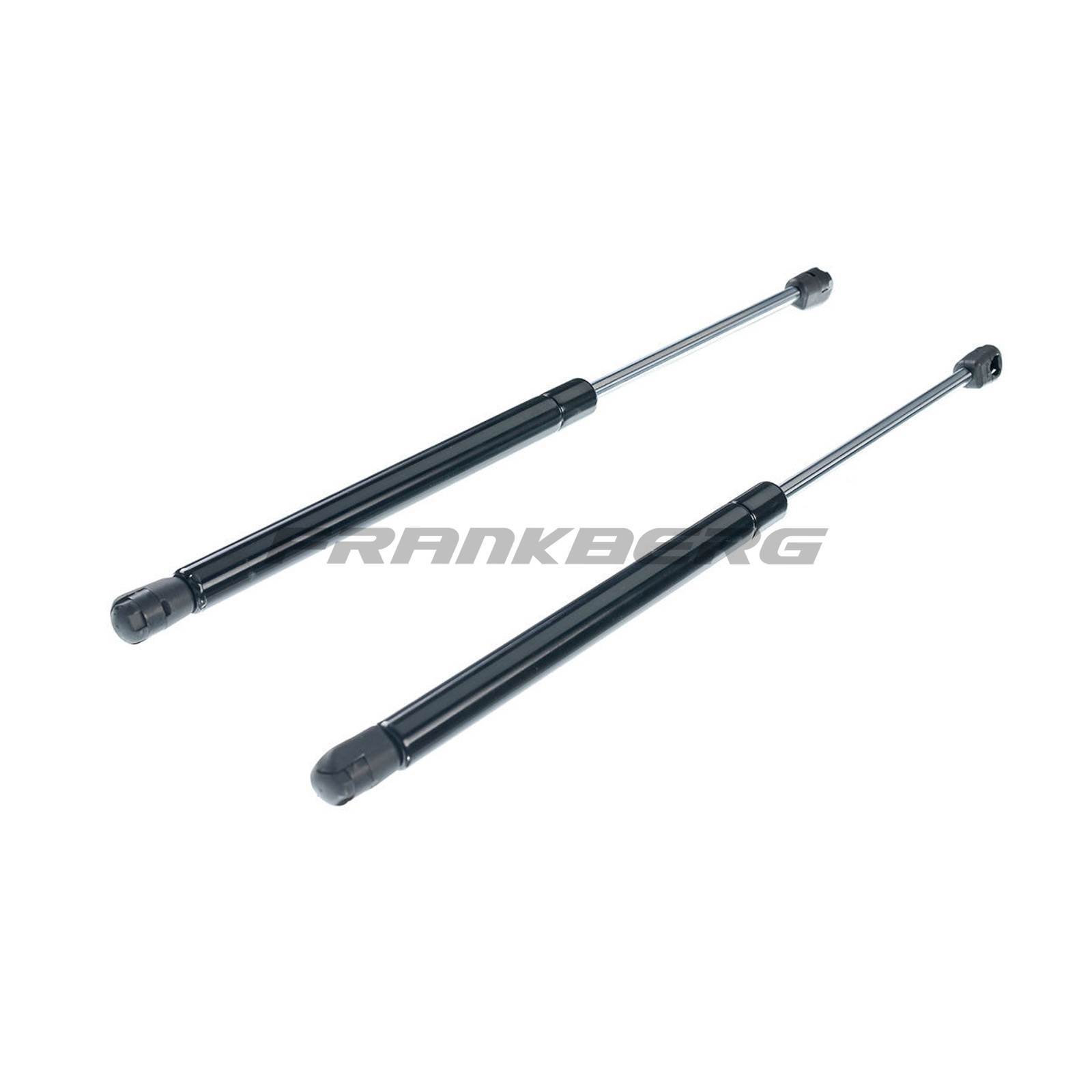 Gas Spring, boot/cargo area