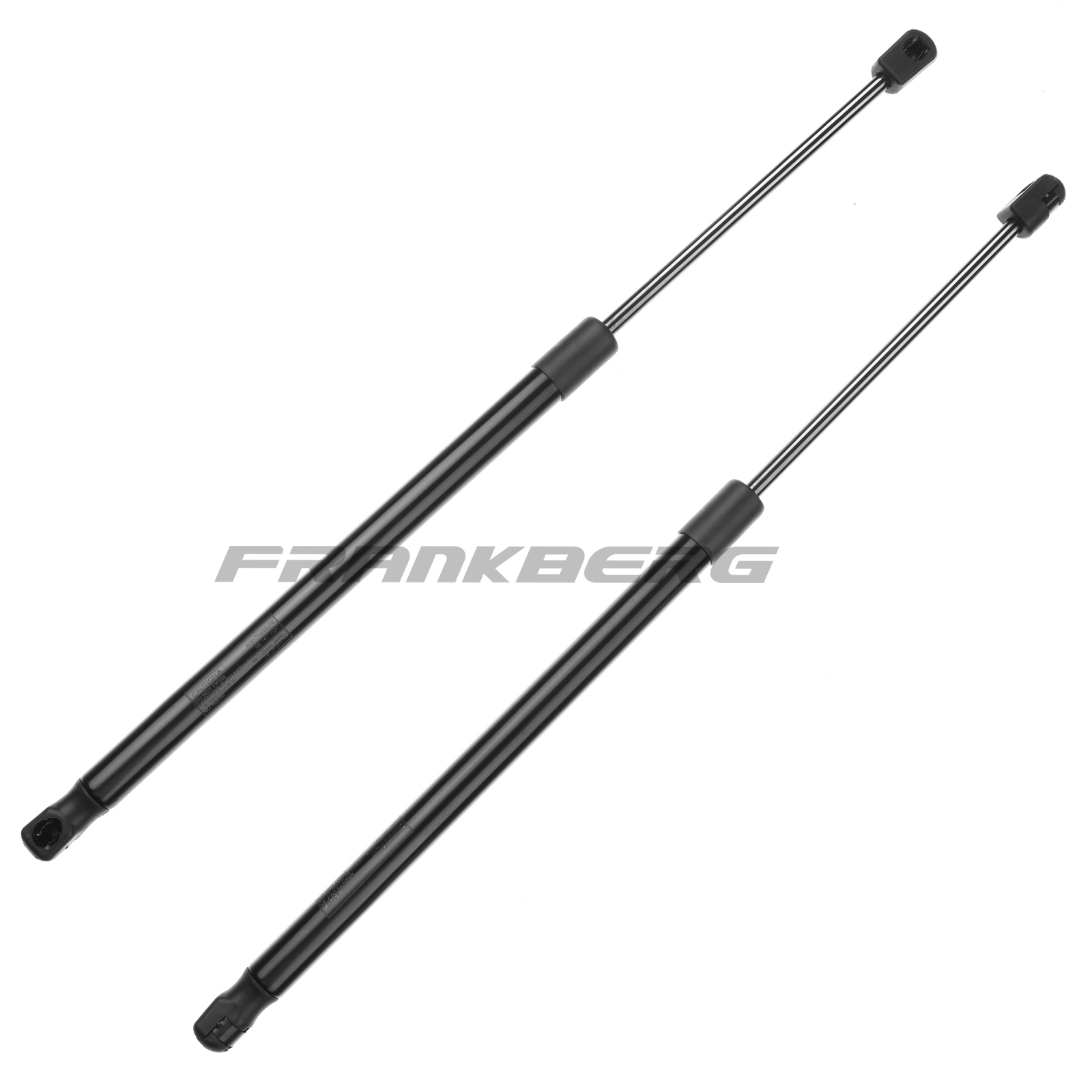 Gas Spring, boot/cargo area