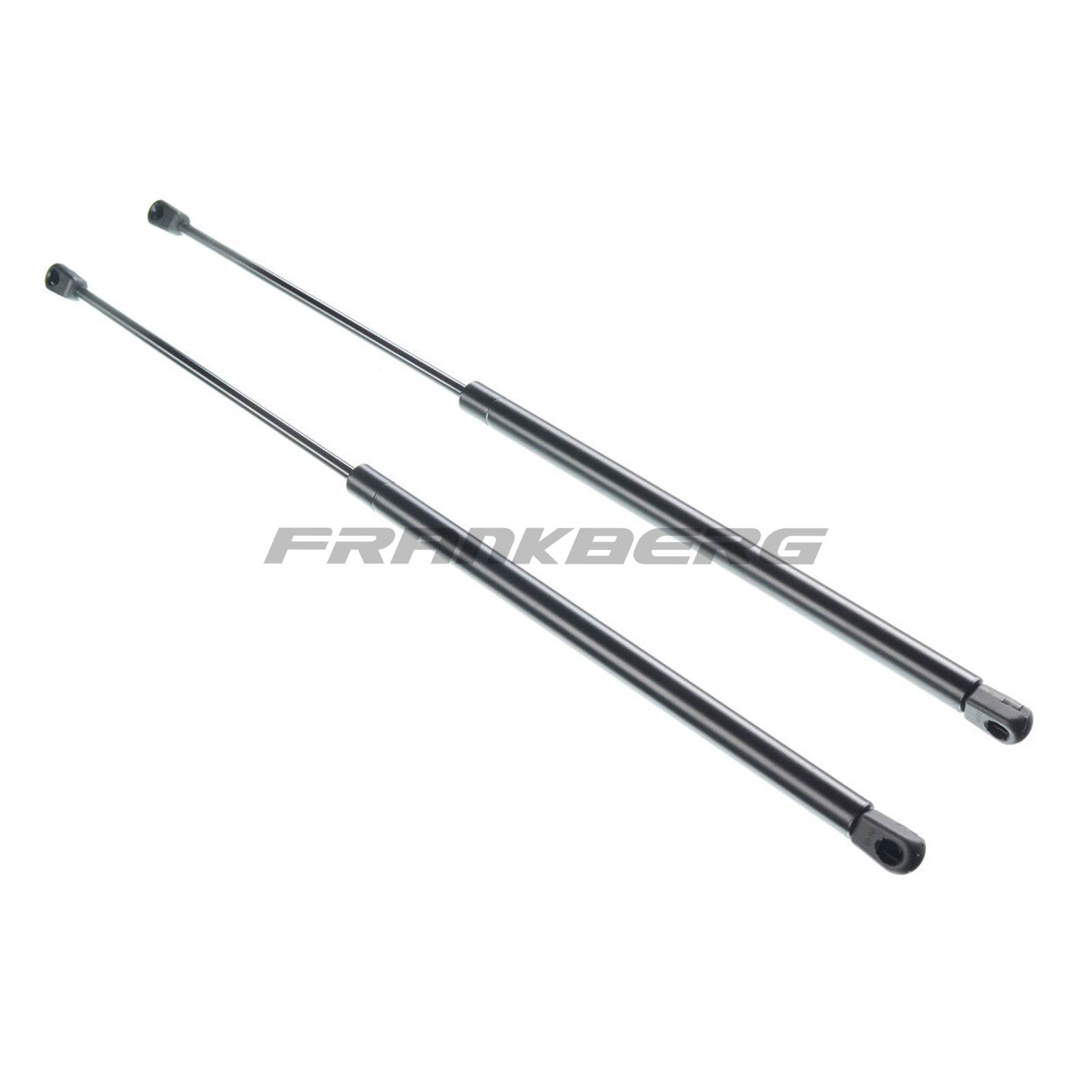 Gas Spring, boot/cargo area