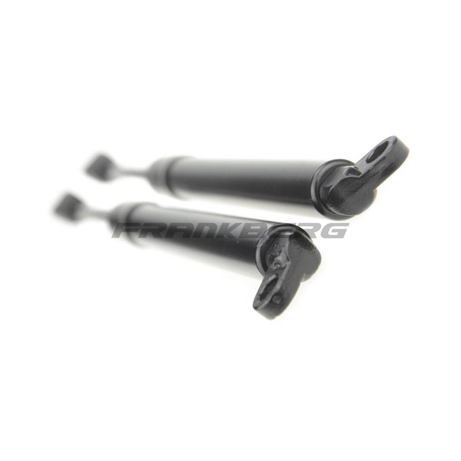 Gas Spring, boot/cargo area